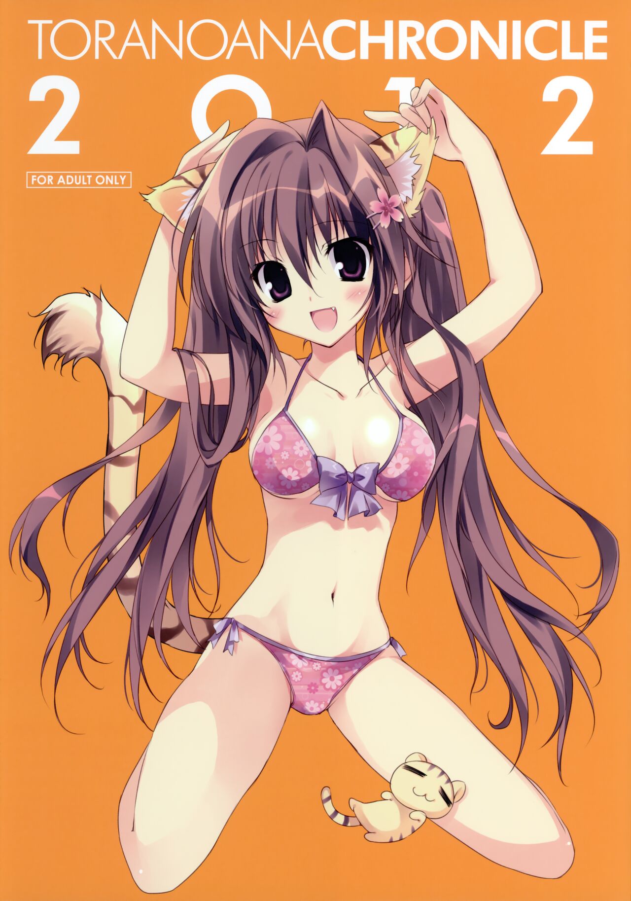 Toranoana Chronicle 2012 page 1 full