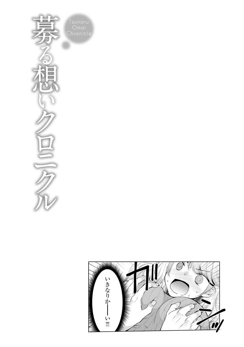 Tsunoru Omoi Chronicle page 4 full