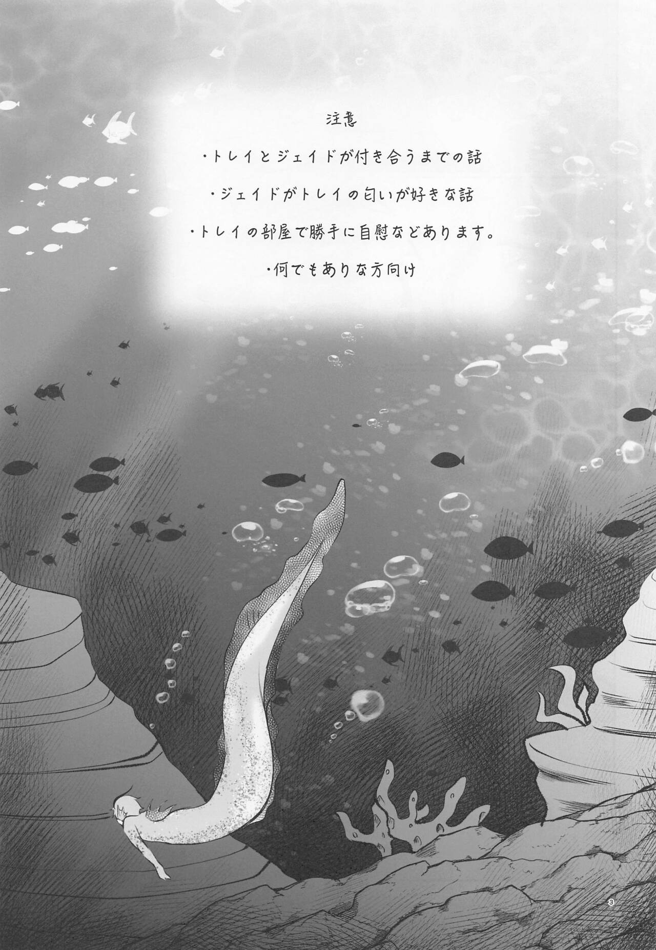 Anata no Nioi de Itte Shimaimasu page 2 full