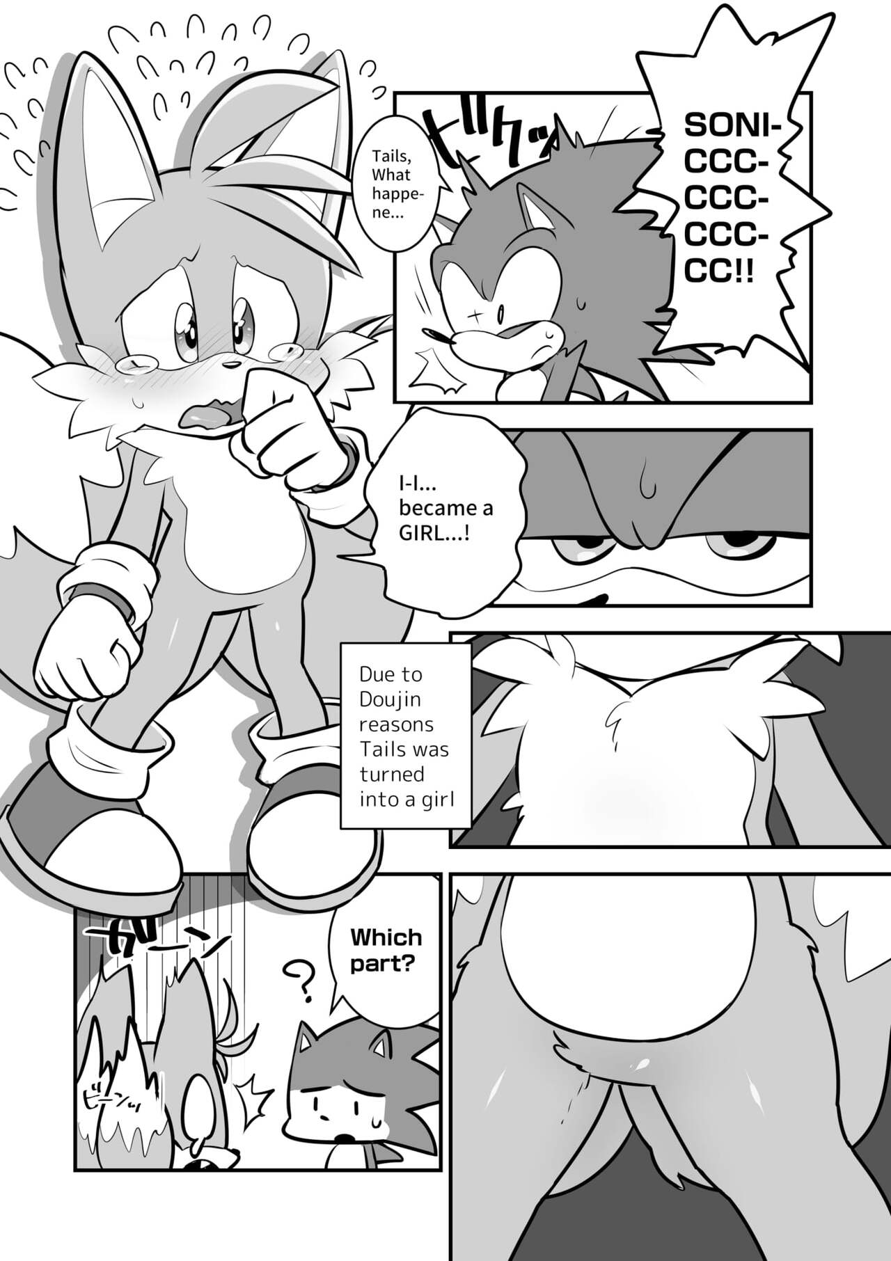 Tails and Sonic's special Fuss page 2 full