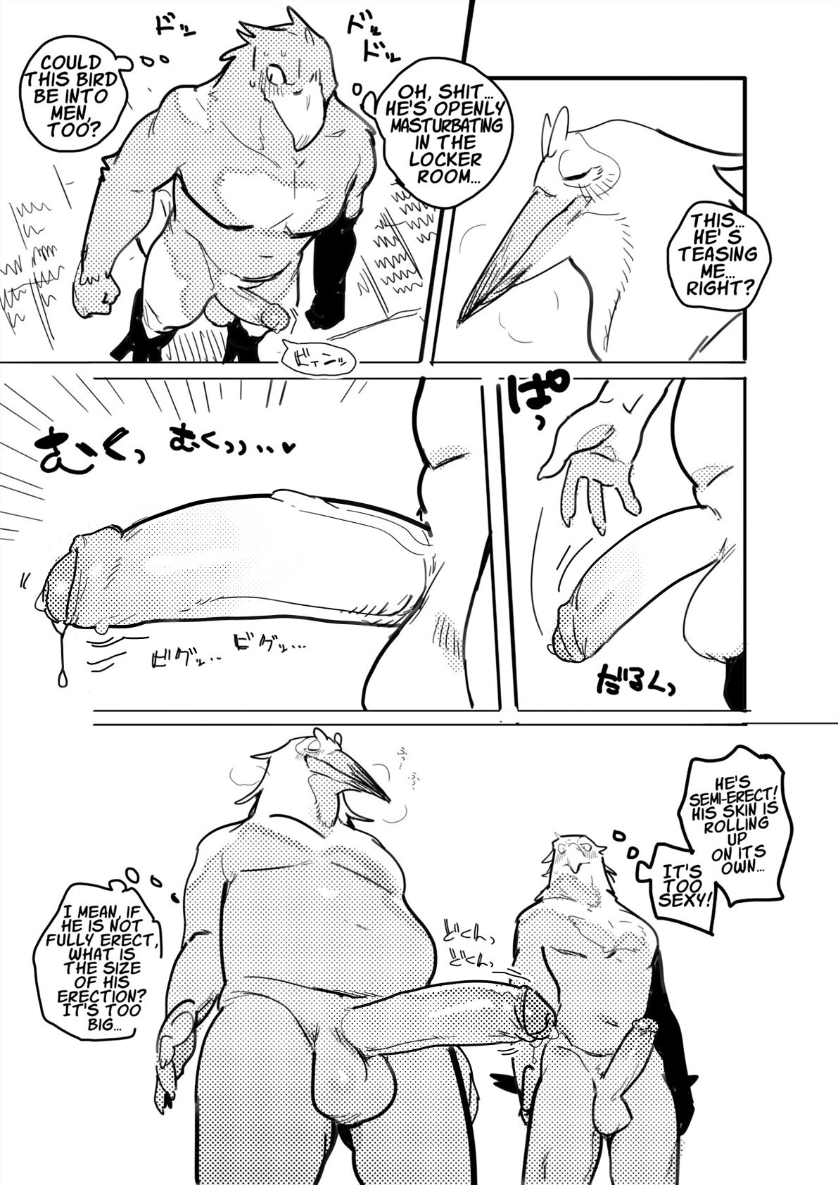 Pelican and White-tailed Eagle page 5 full