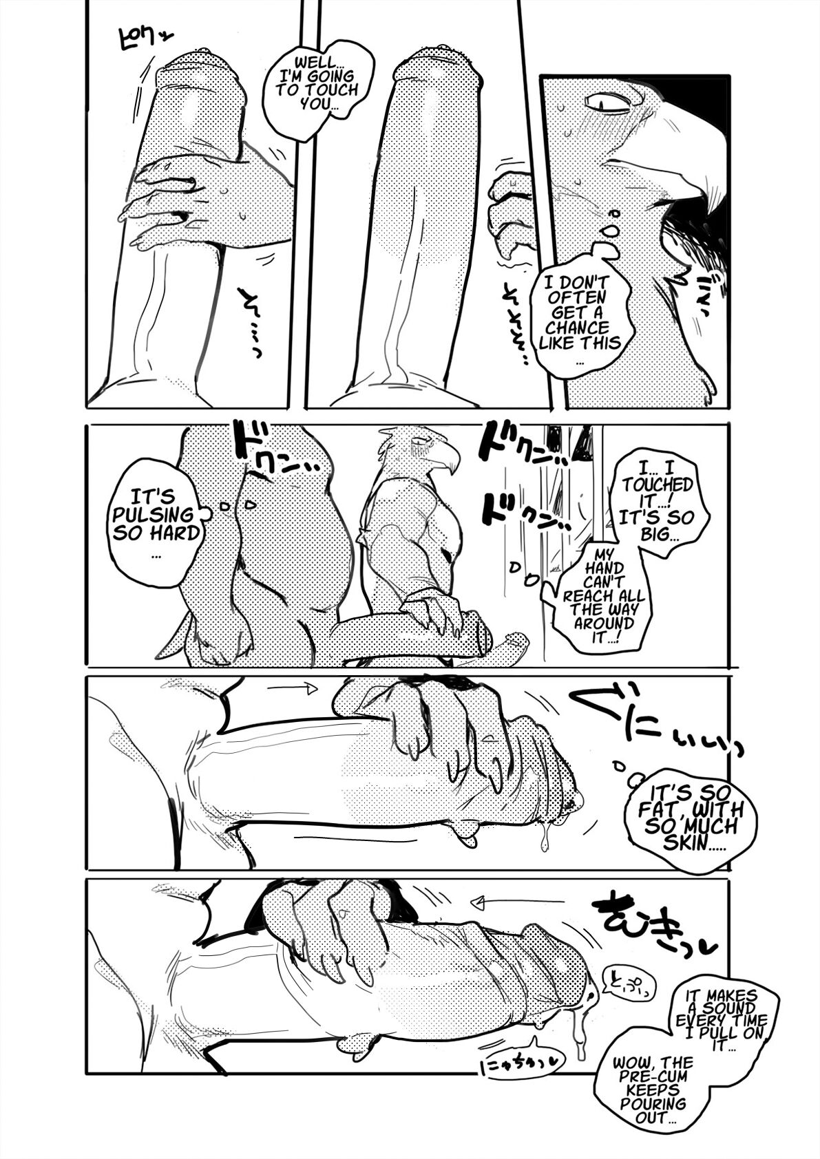 Pelican and White-tailed Eagle page 7 full