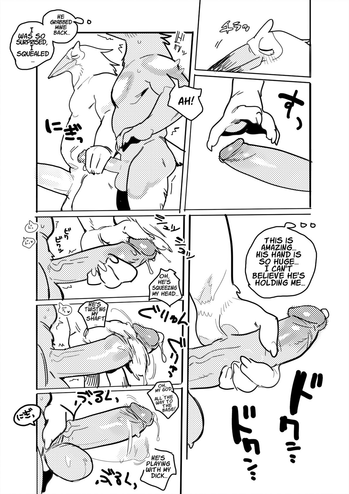 Pelican and White-tailed Eagle page 9 full