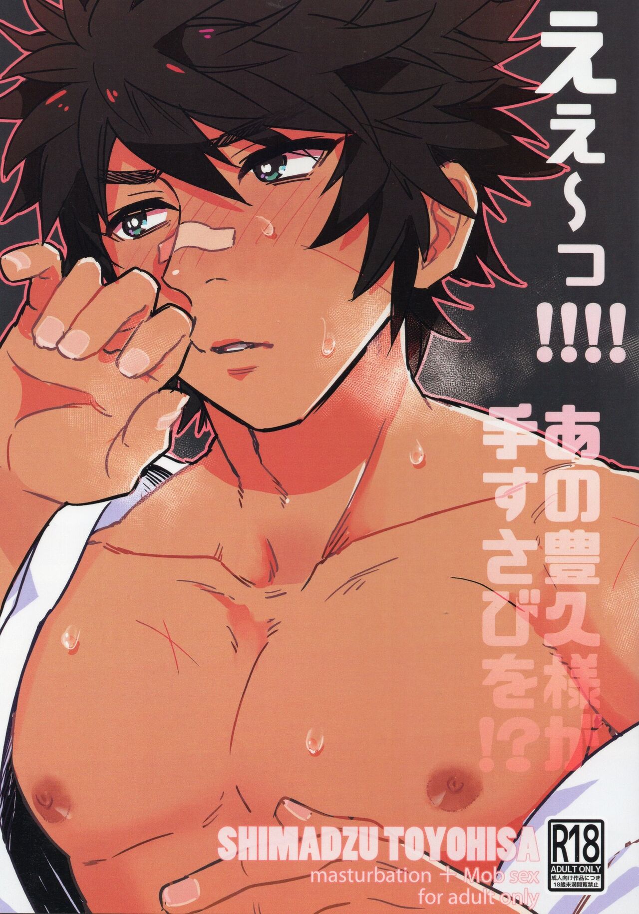 Ee!!!! Ano Toyohisa-sama ga Tesusabi o!? page 1 full