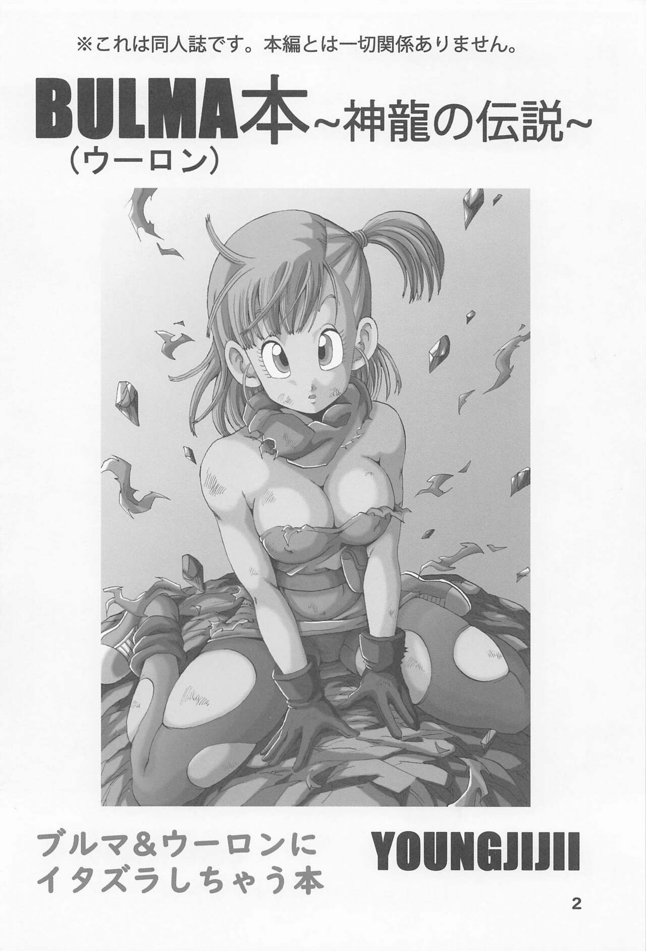 Bulma  Hon ~Shinryu no Densetsu~ page 3 full