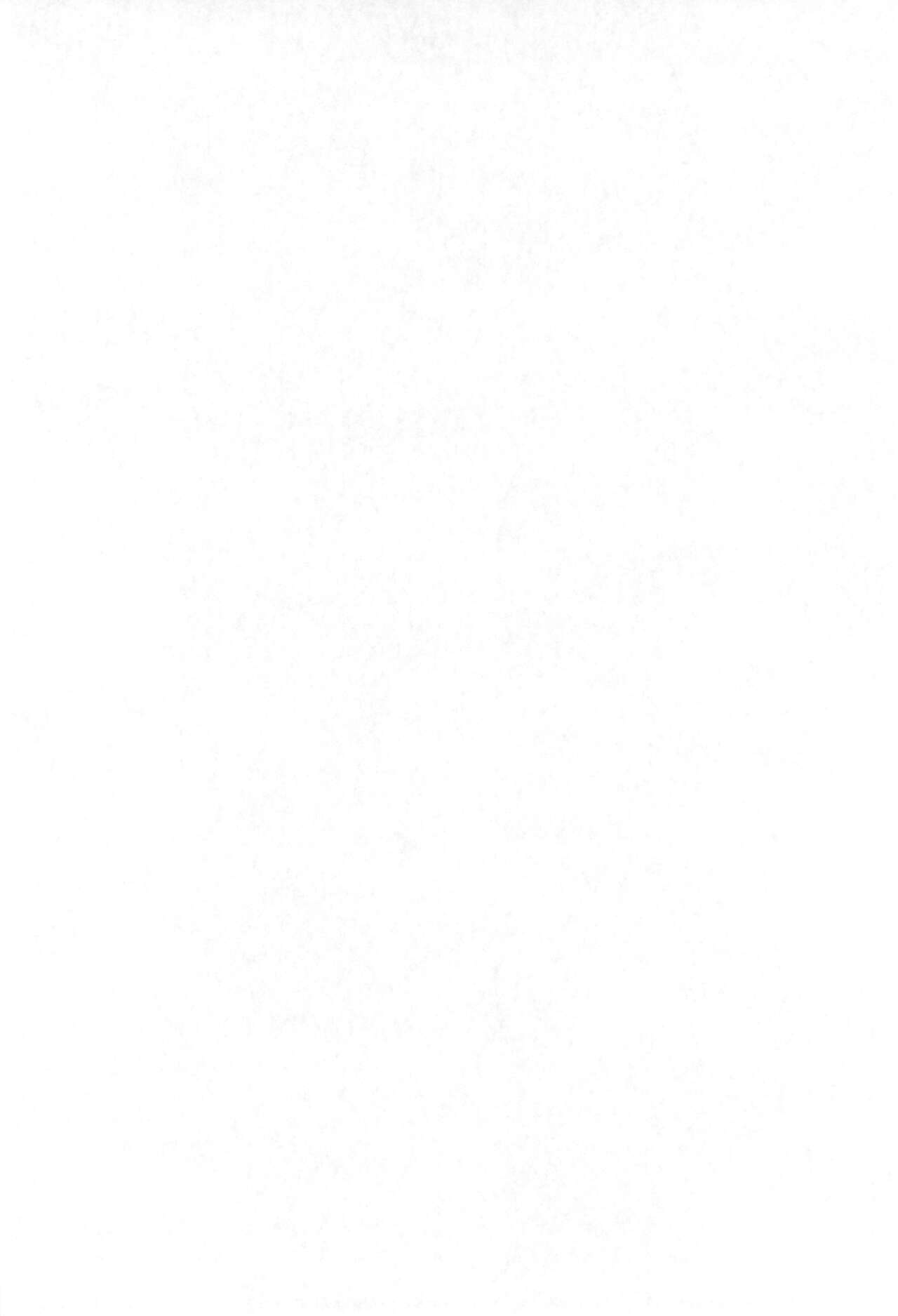 P.P. Plan 5 page 4 full