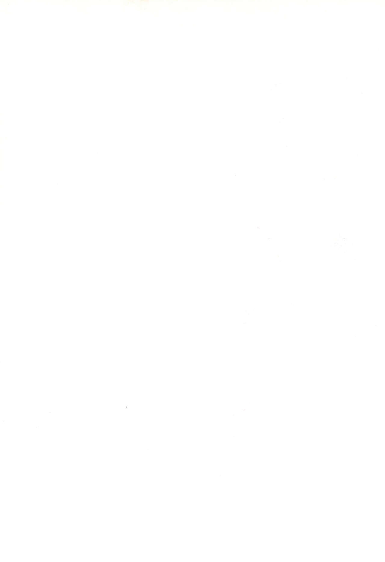 NiSeMoNo 6 page 2 full