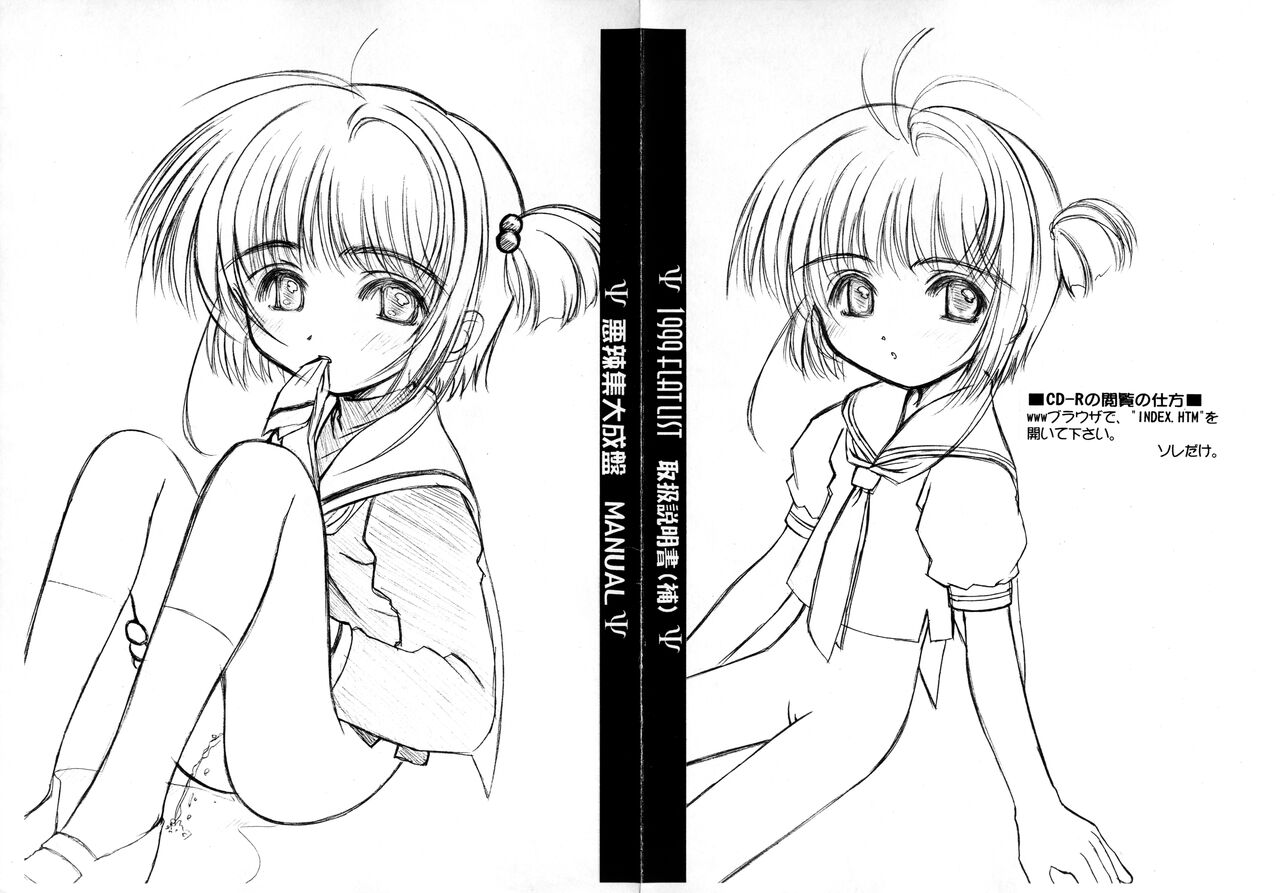 1999 FLAT LIST Toriatsukai Setsumeisho page 2 full