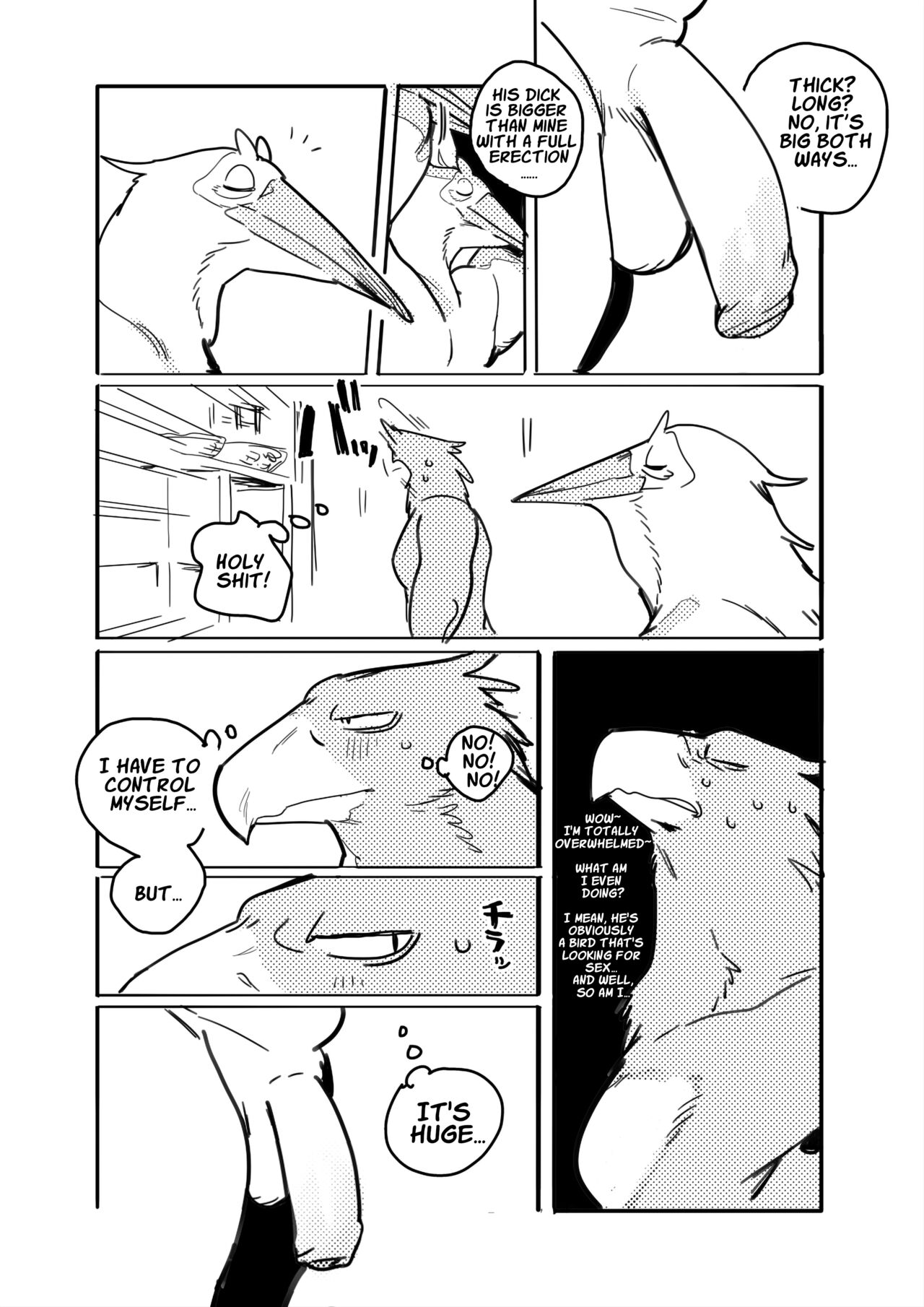 Pelican and White-tailed Eagle page 2 full