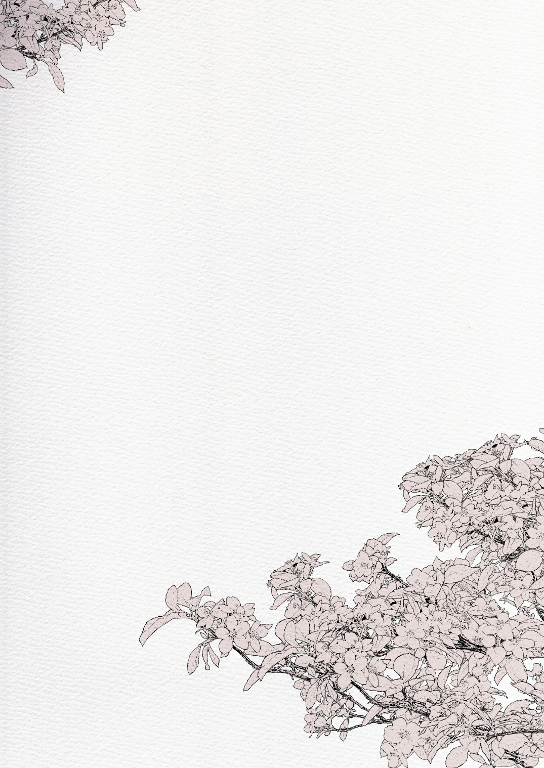 Futanari Chuushin Skeb E Matome - Illustration of FUTANARI-Skeb.e page 2 full