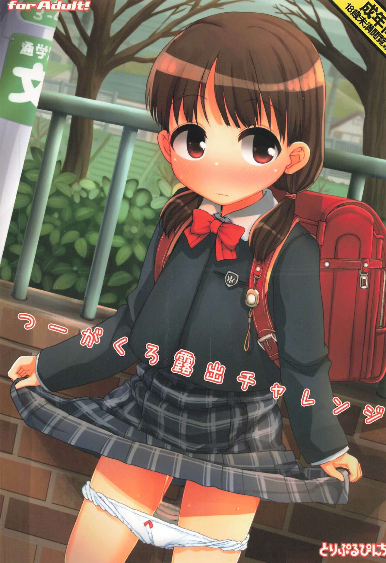 Tsuugakuro Roshutsu Challenge page 1 full