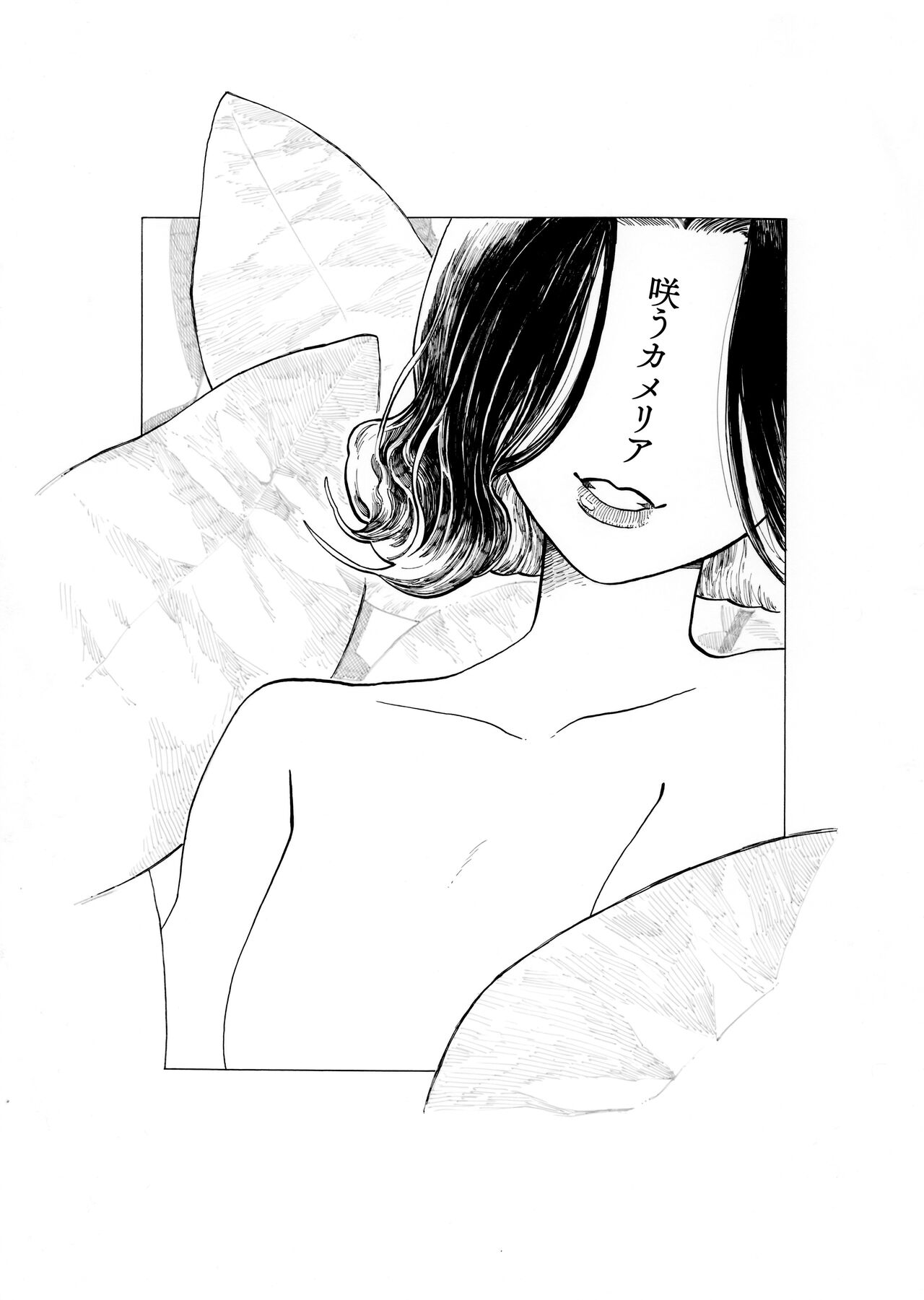 Warau Camellia page 1 full