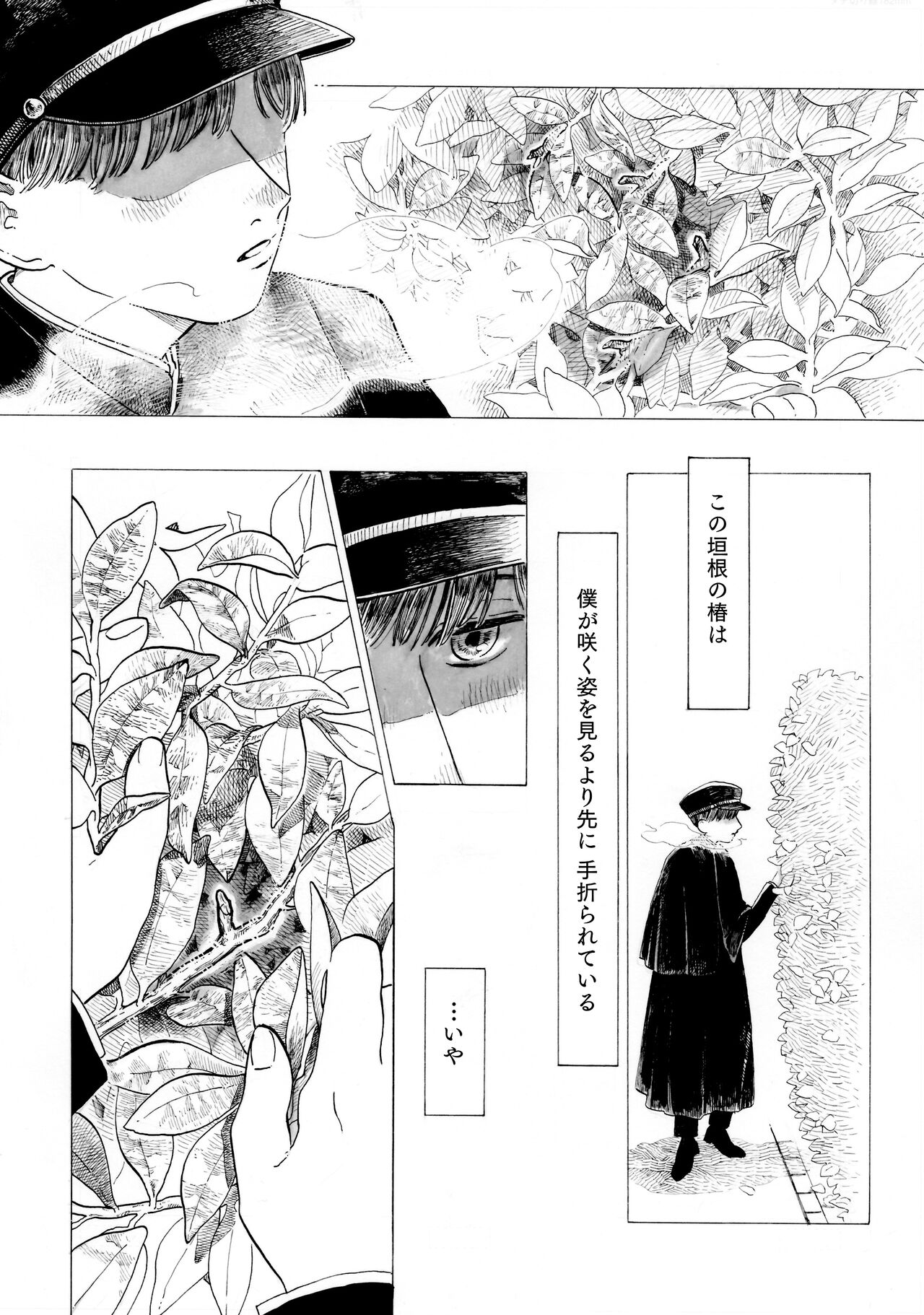Warau Camellia page 2 full
