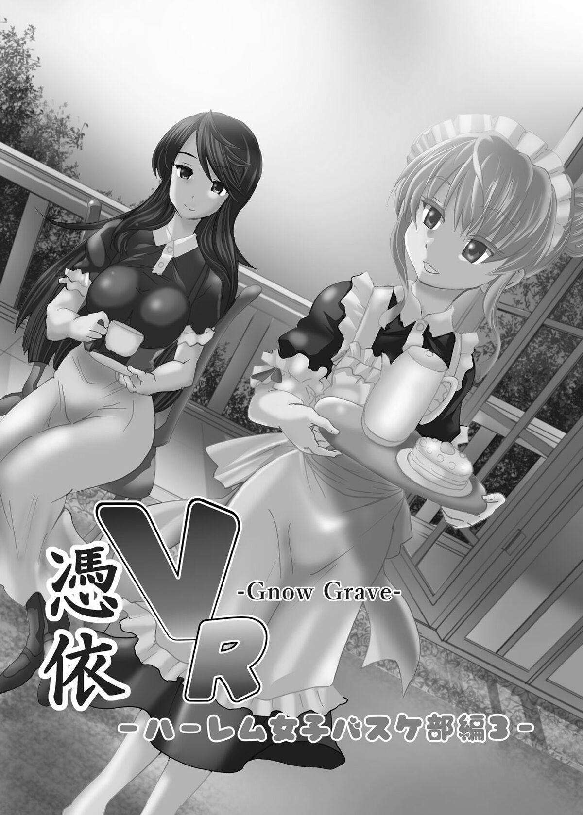 Gnow Grave "Hyoui VR -Harem Joshi Basketball Bu Hen 3-" page 4 full