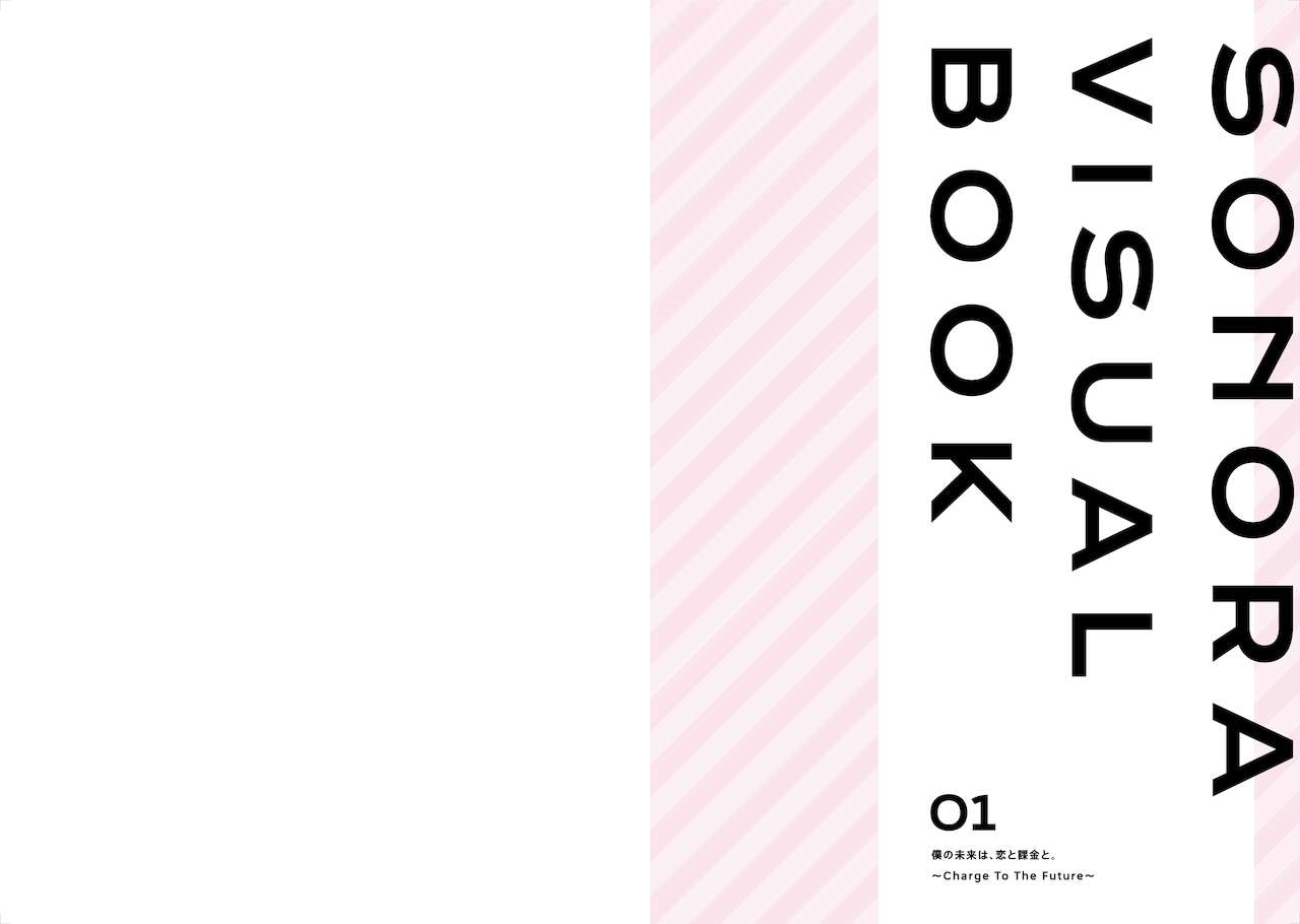 Sonora Visual Book page 2 full