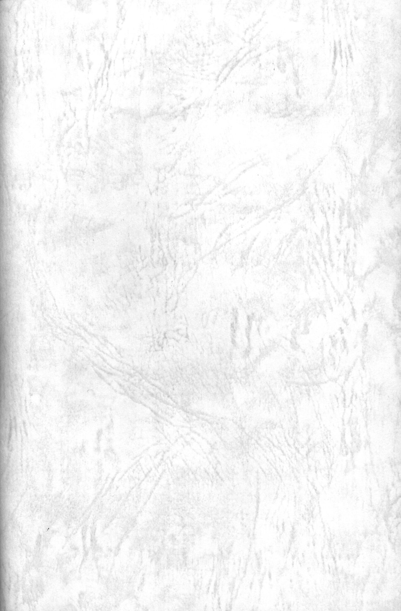 PRIMALITA page 2 full