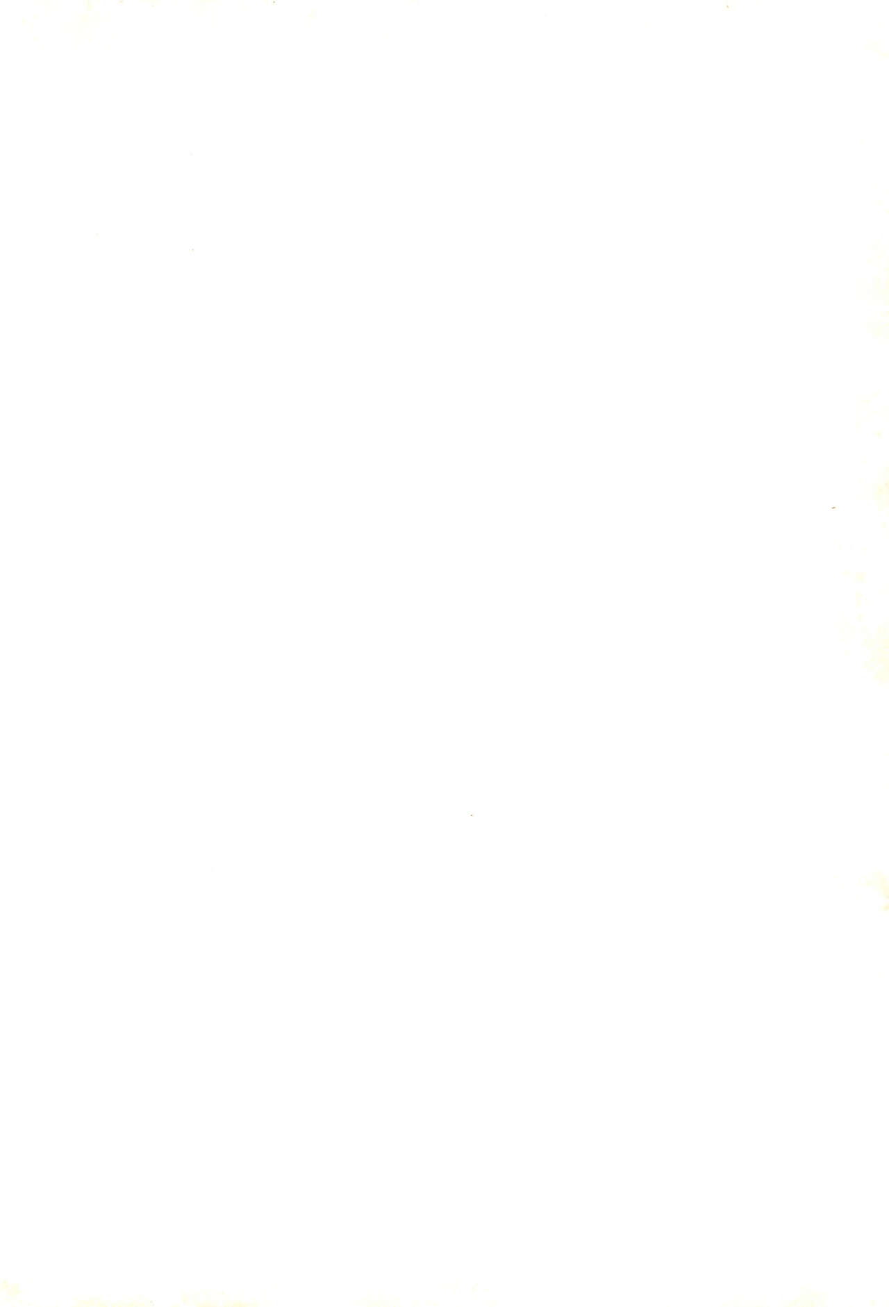 Onedari Princess page 2 full