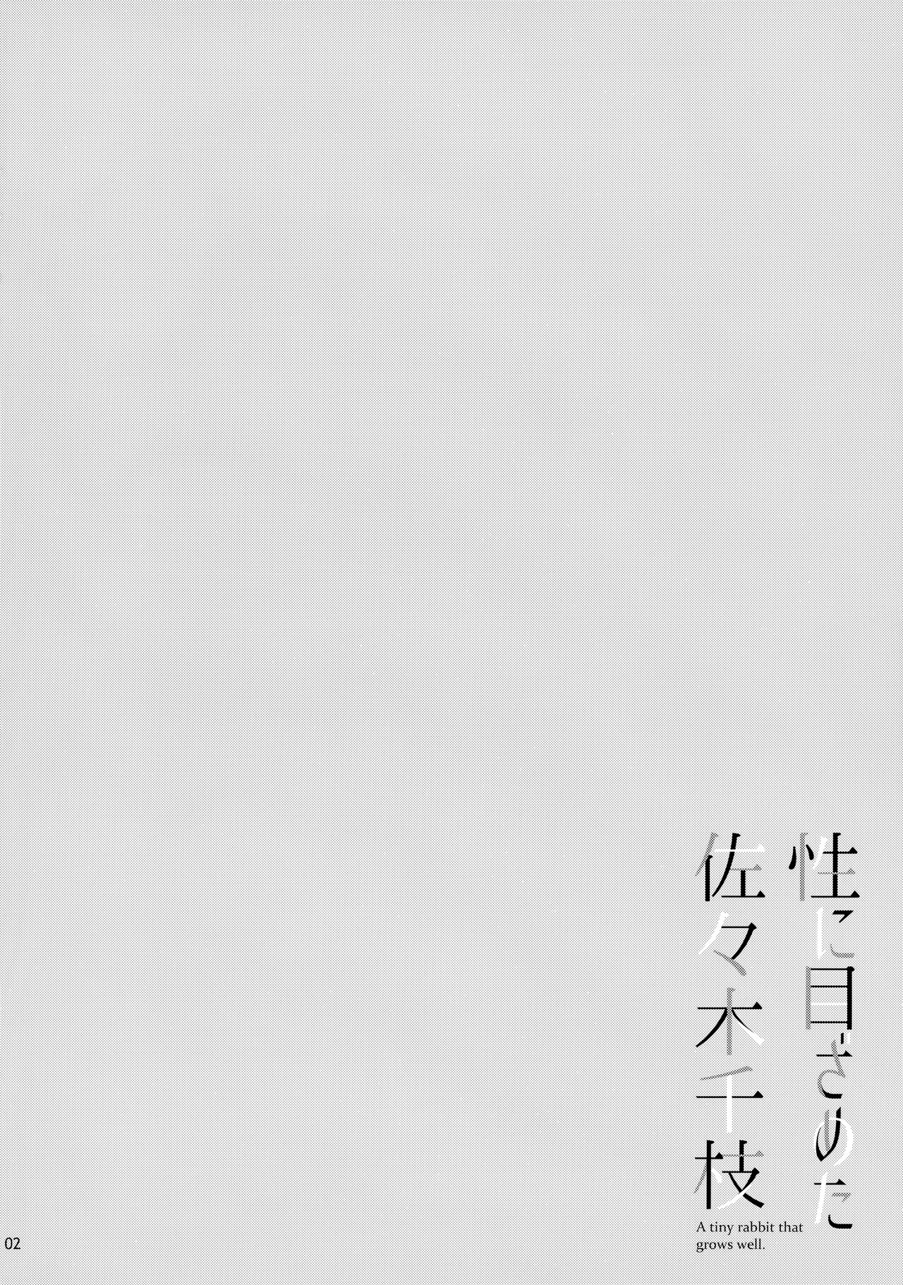 Sei ni Mezameta Sasaki Chie page 3 full