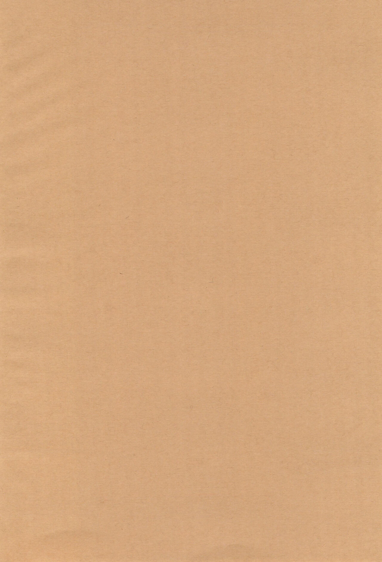 Bokutachi no Koibito ni natte Itoko x Ninaku natta Futago x Futago -Kaiteiban- page 4 full