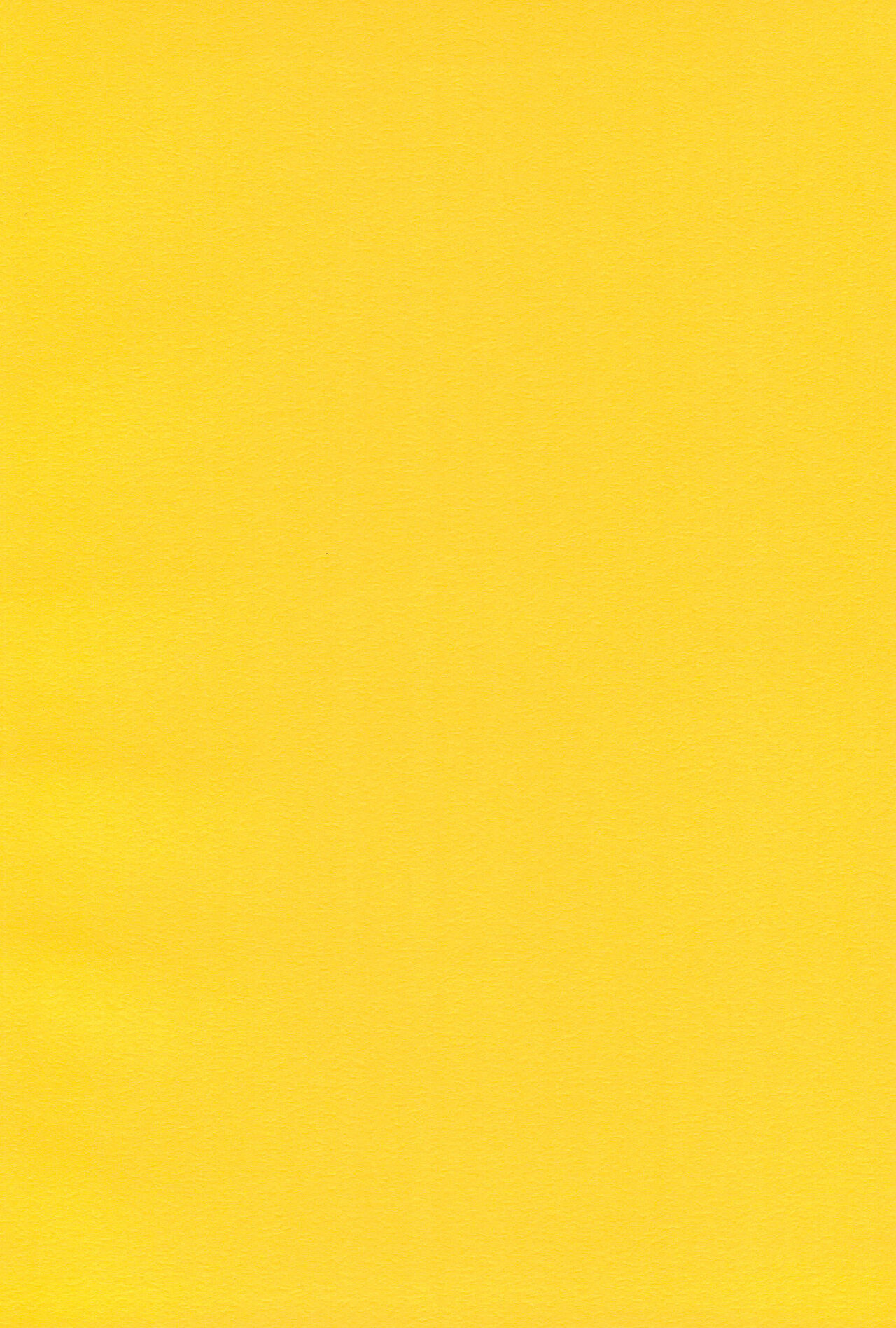 Kayoiko no Kokkai page 2 full