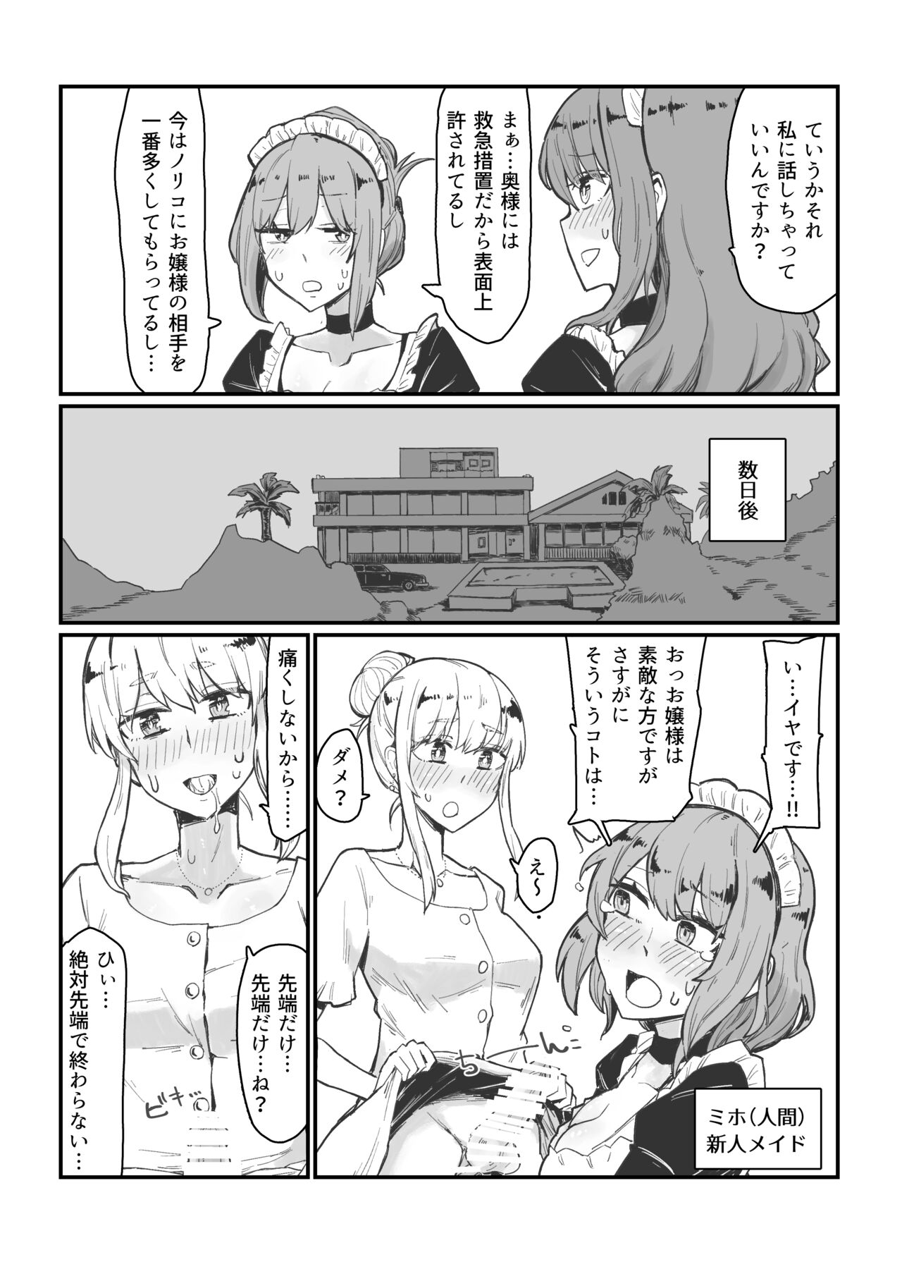 Generic Succubus 3 - Shasei ni Dohamari Shita Ojyosama wo Shokushu Deshibakitakatta Succubus Maid no Hon page 10 full