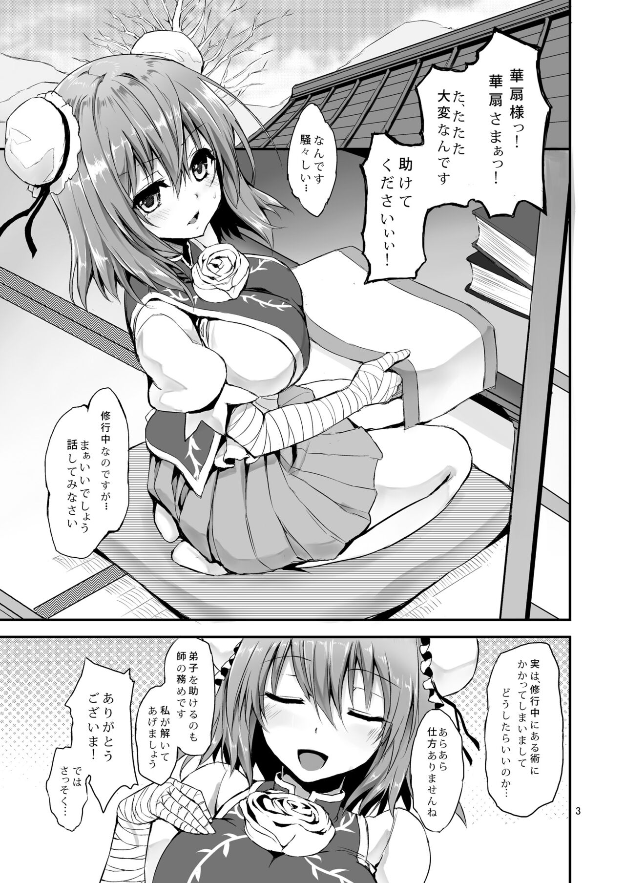 ANMITSU TOUHOU HISTORY page 3 full