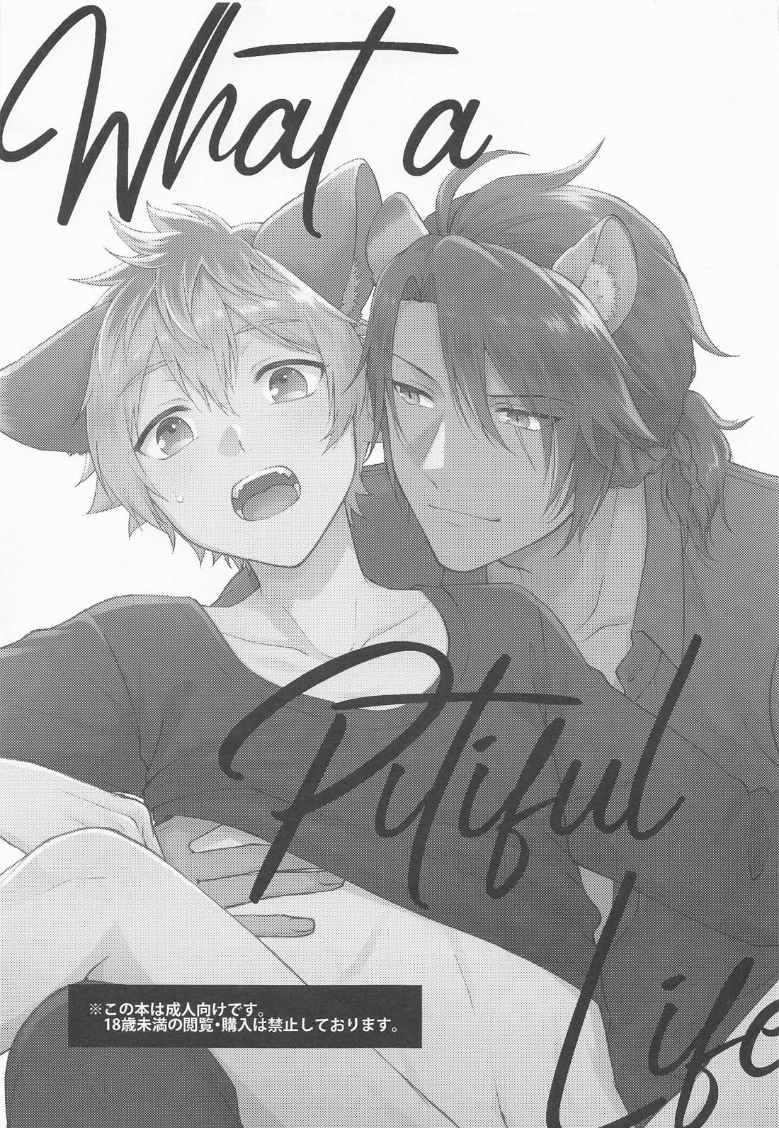 WHAT A PITIFUL LIFE page 2 full