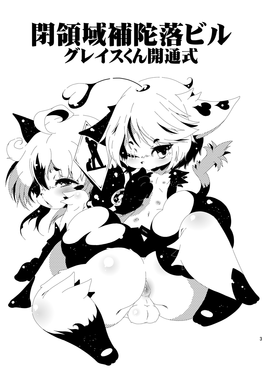 Heiryouiki Fudaraku Buil Grace-kun Kaitsuushiki page 3 full