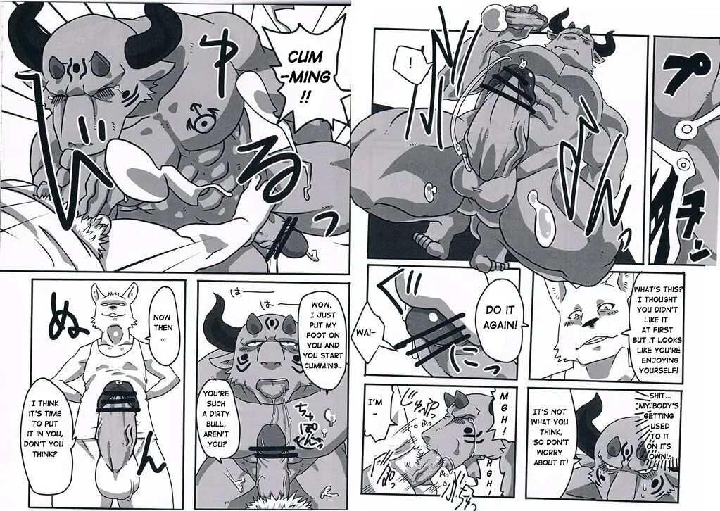 NON CATTLE page 8 full