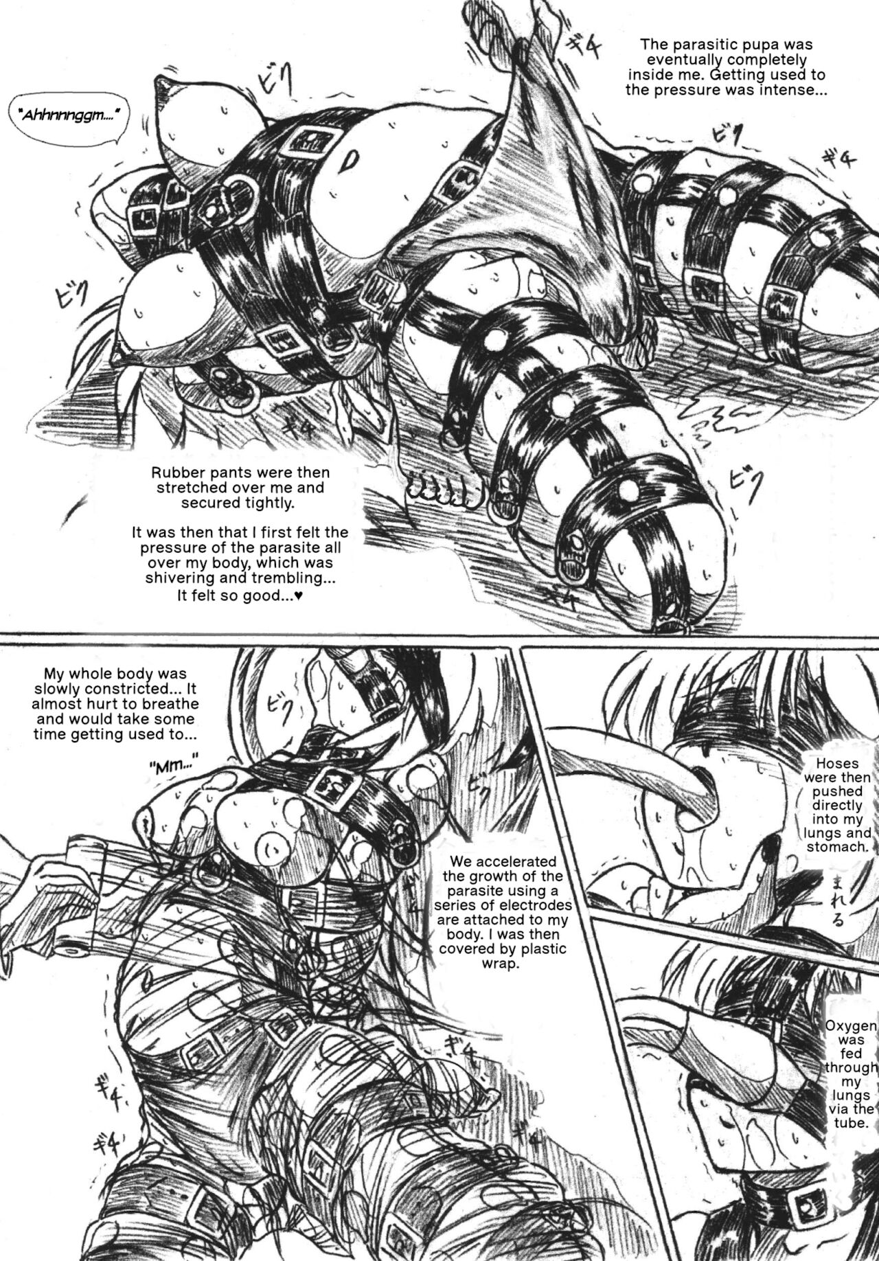 The Volunteer Parasite Nursery page 4 full