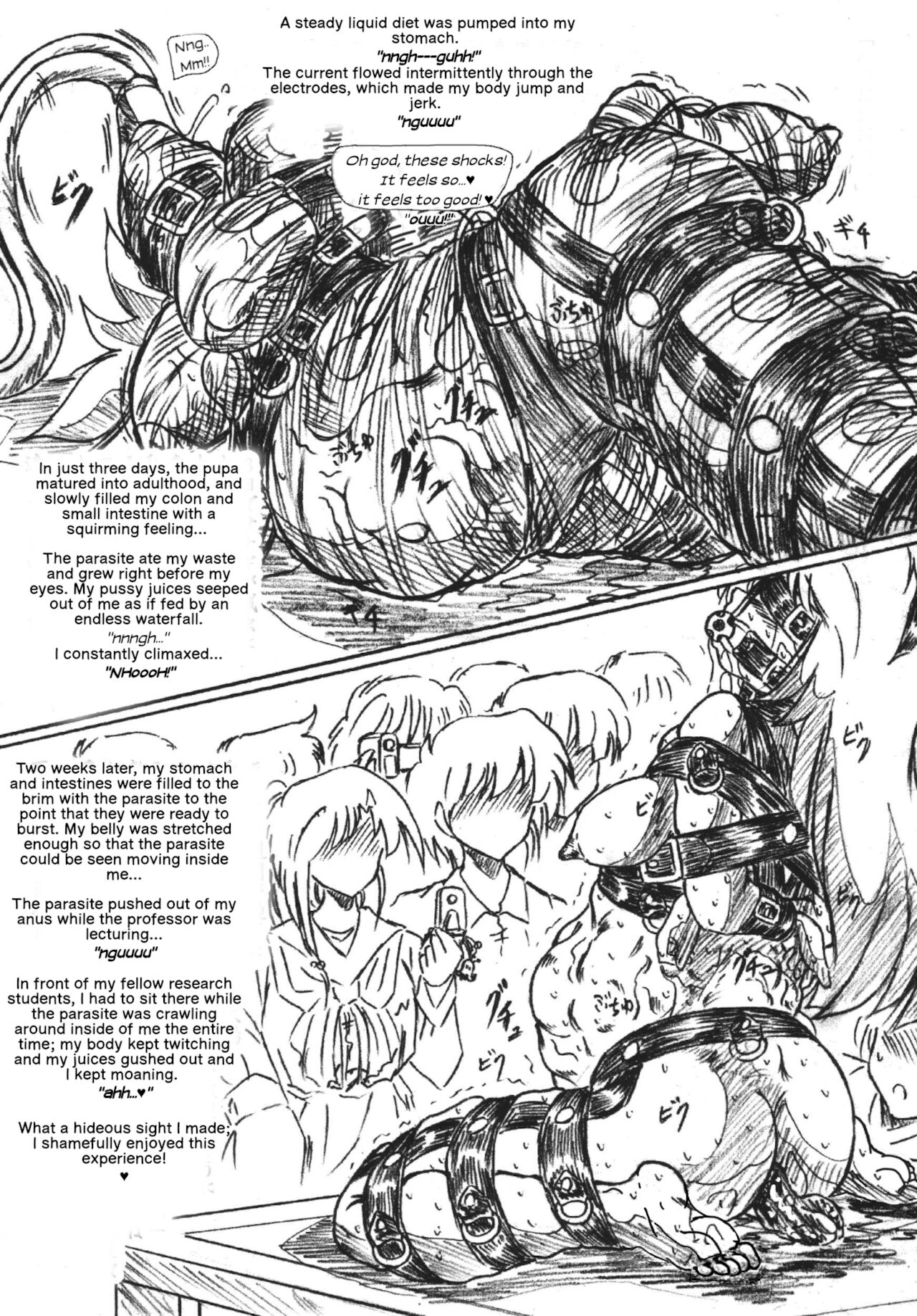 The Volunteer Parasite Nursery page 5 full