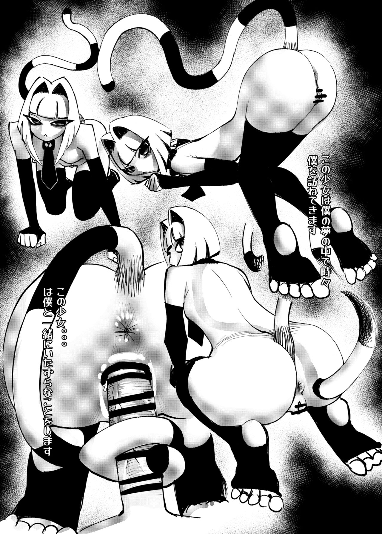 DREAM CAT page 3 full