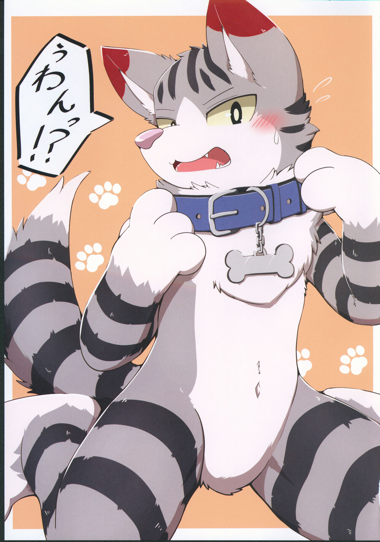 Quest Collection page 6 full