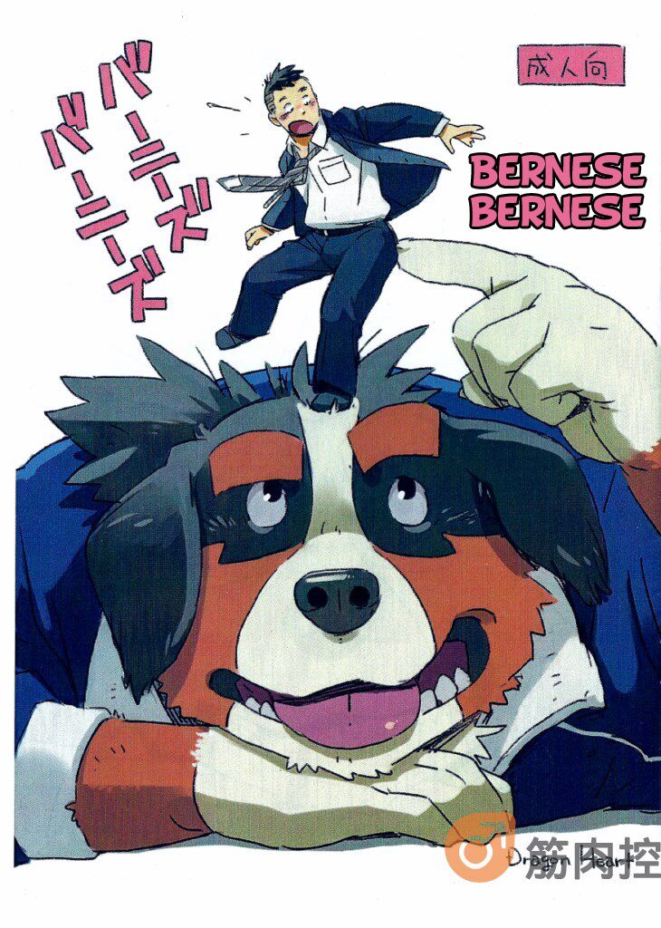 Bernese Bernese page 1 full