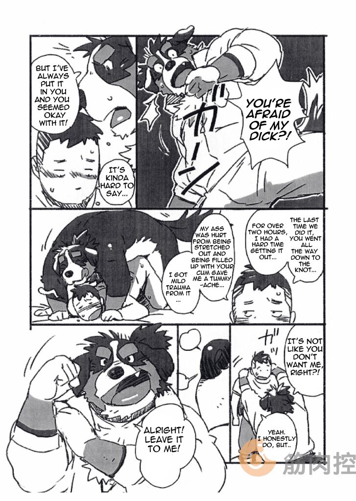 Bernese Bernese page 6 full