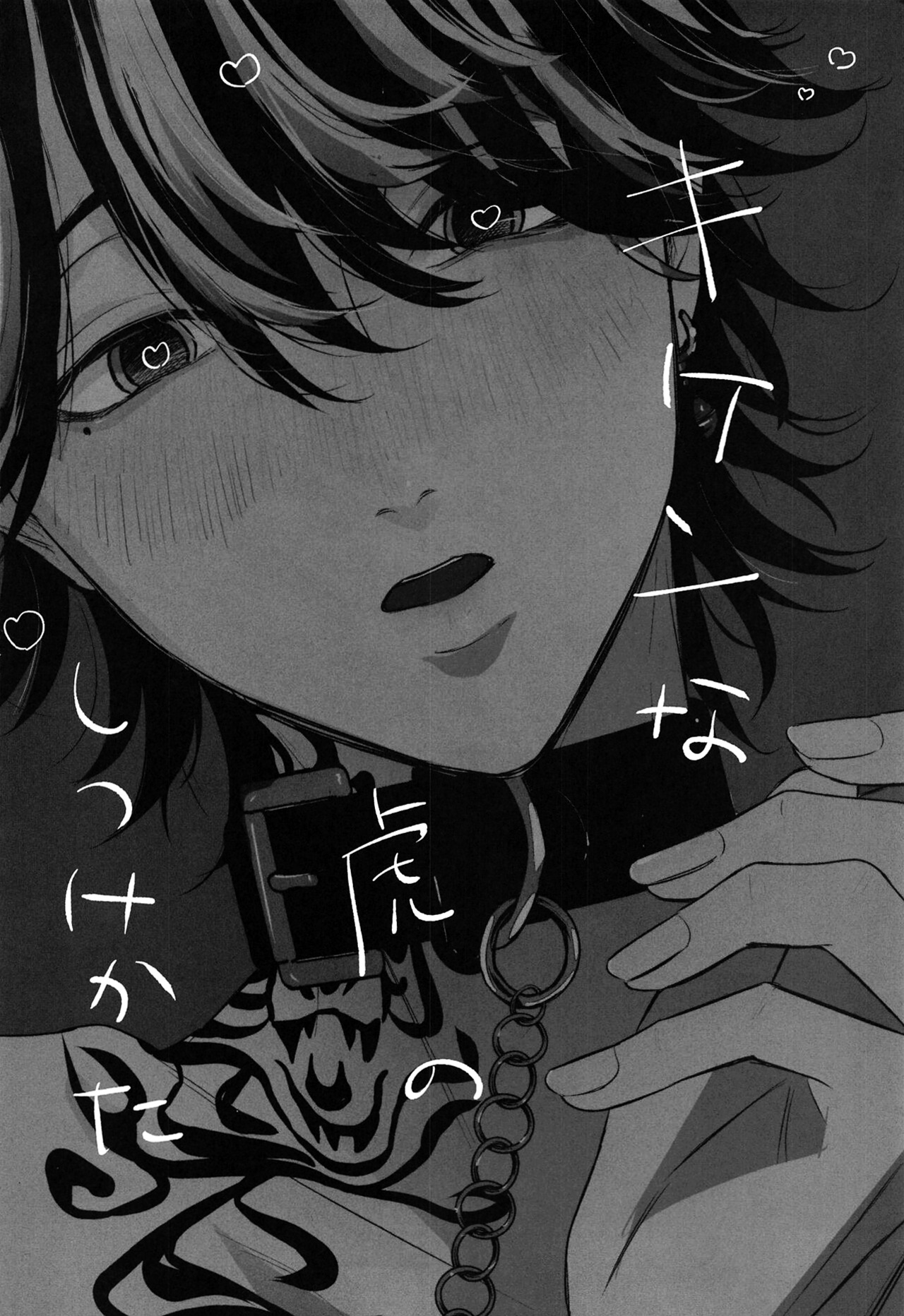 Kiken na Tora no Shitsukekata page 3 full