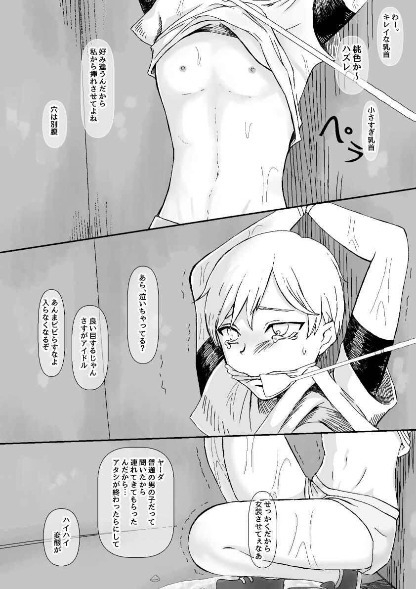 Josou Idol wa Futsuu no Otokonoko page 3 full