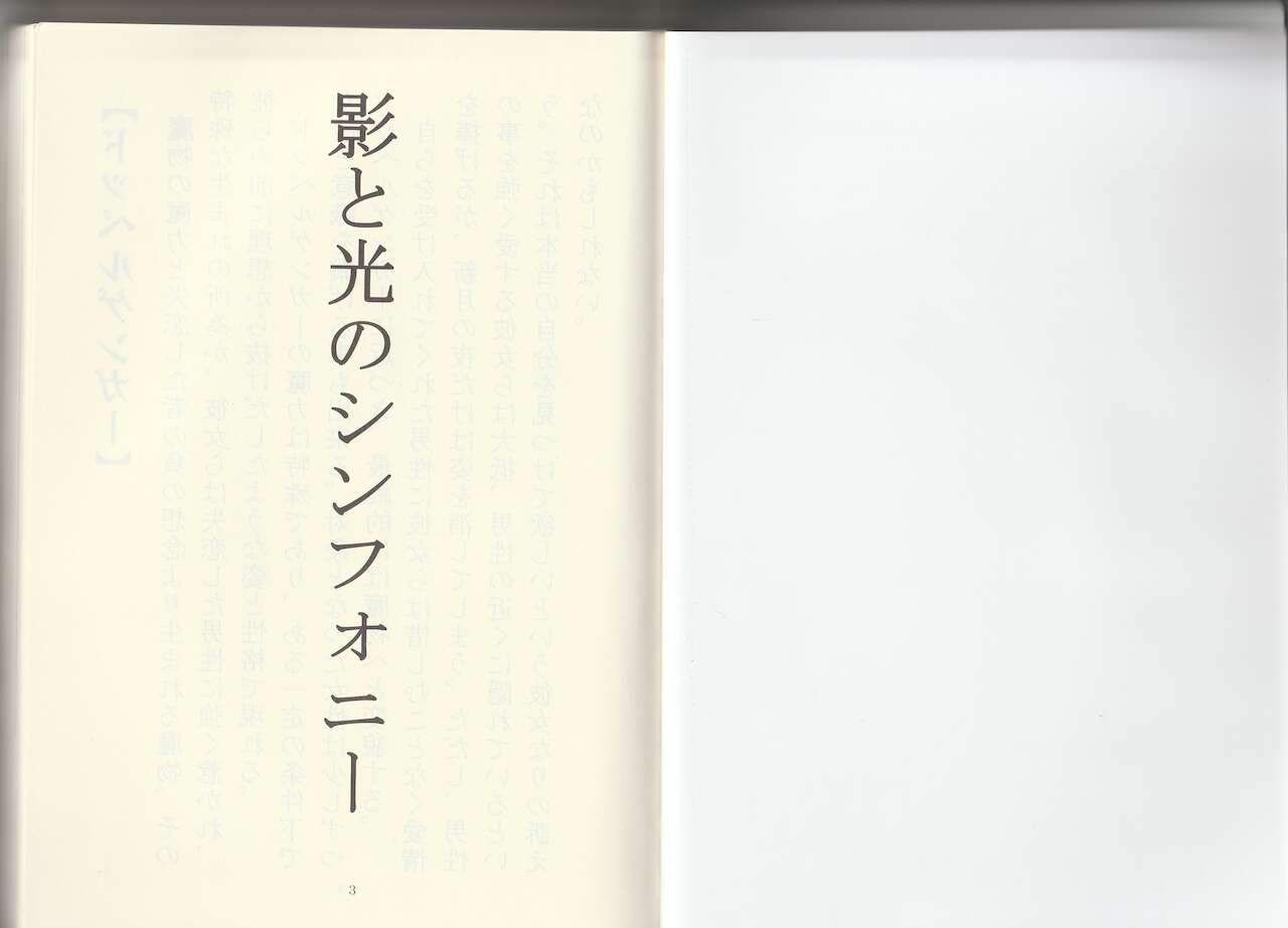 Monster Girl Encyclopedia Stories: Shadow and Light Symphony page 2 full