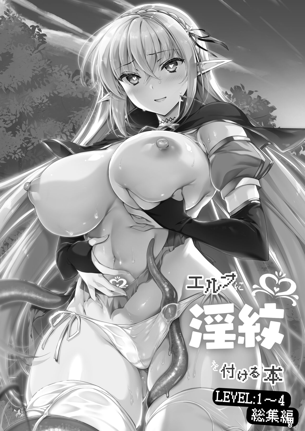 Elf ni Inmon o Tsukeru Hon LEVEL:1~4 Soushuuhen page 3 full