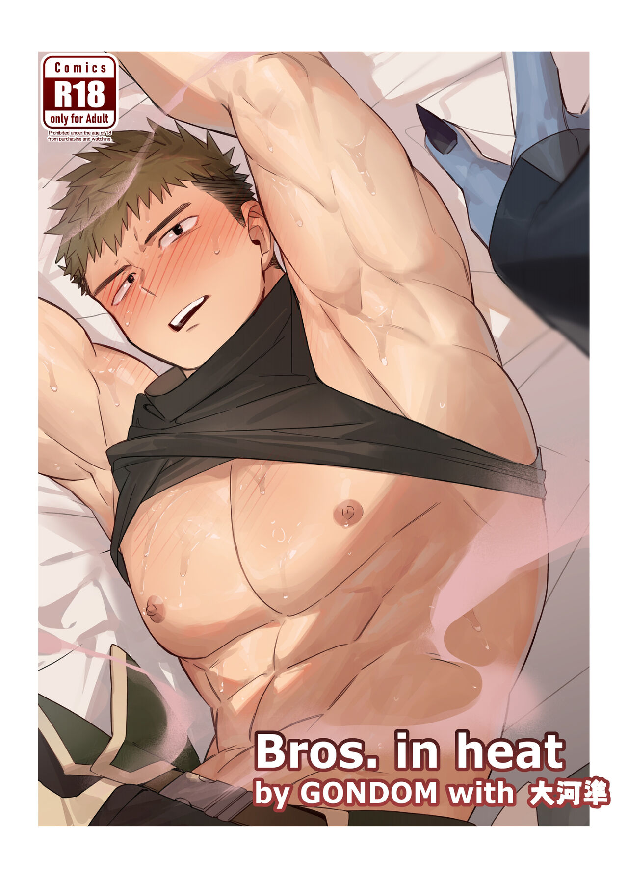 Bros. in Heat page 1 full