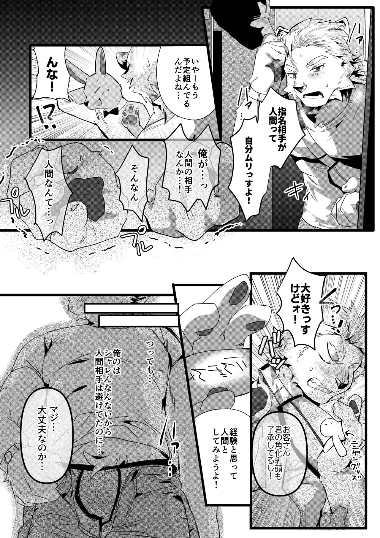 Rental Lion to LoveHo page 2 full
