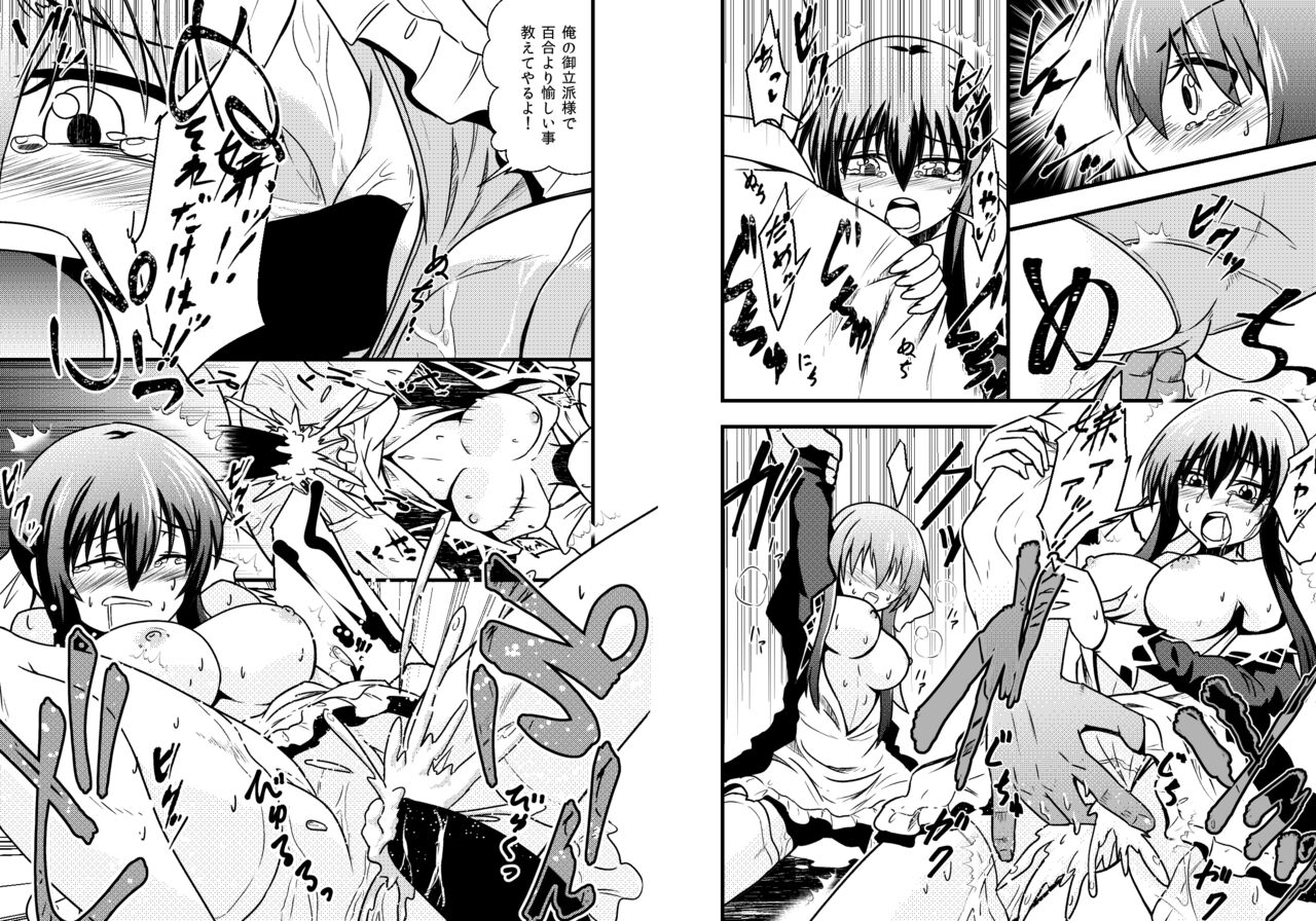 Tomodachi o Kabatte Goukan sareru Strawberry Panic no Suzumi Tamao page 3 full