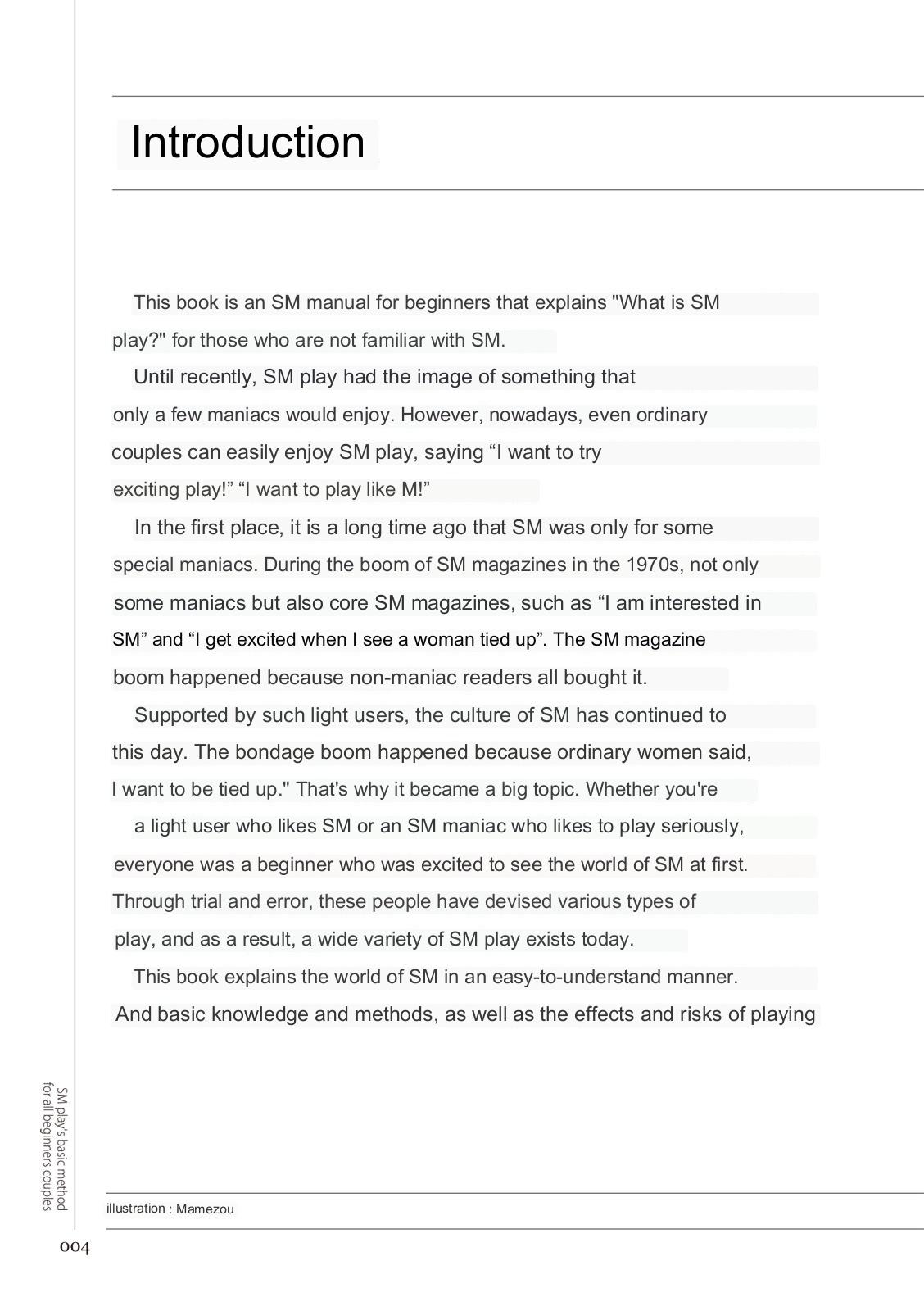 SM play manual page 3 full