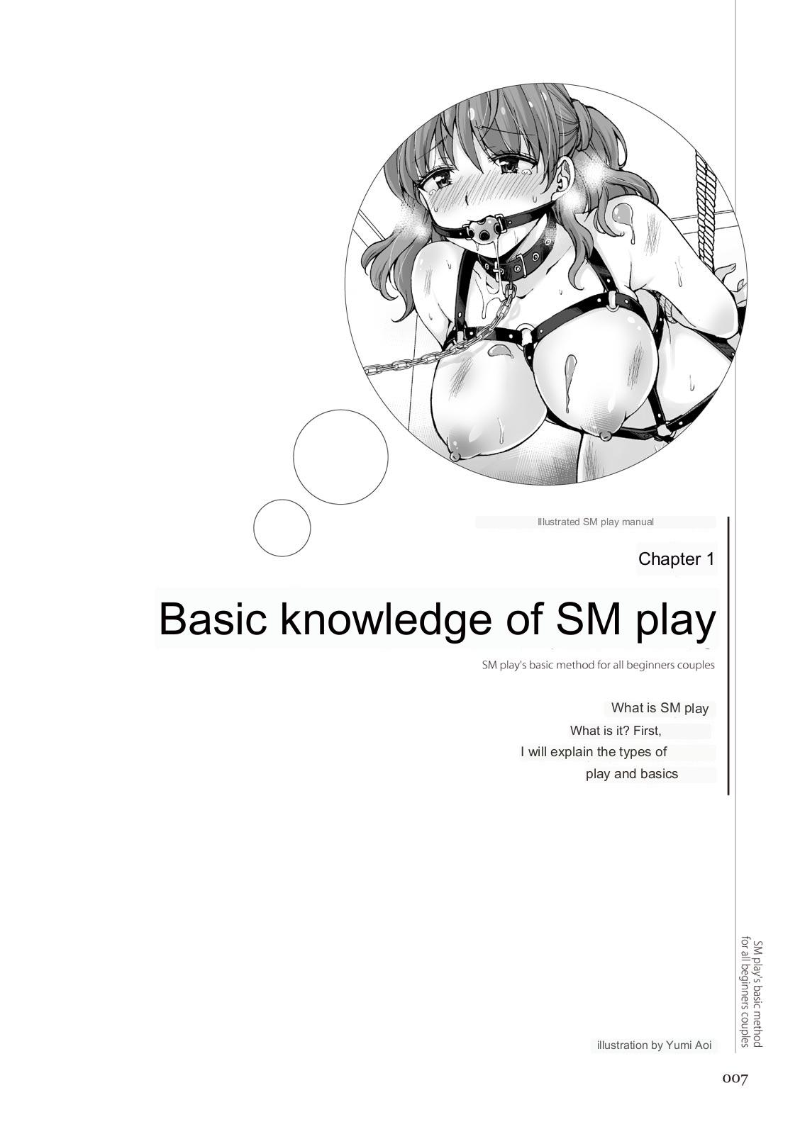 SM play manual page 5 full
