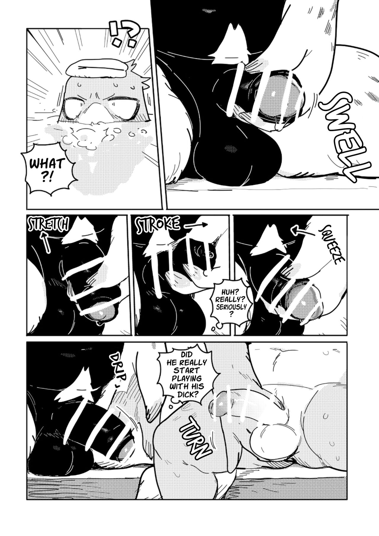 White-Tailed Eagle and Owls page 4 full