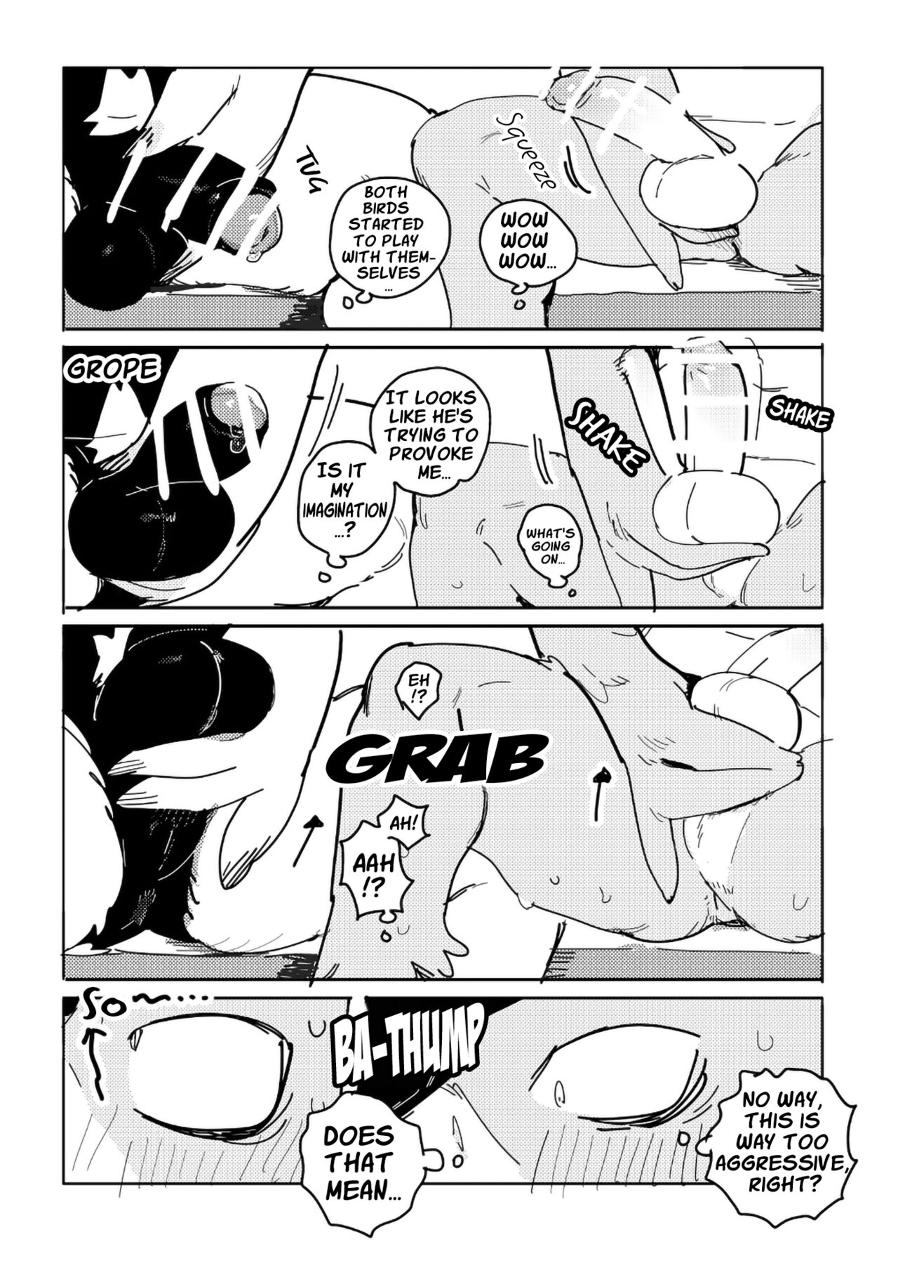 White-Tailed Eagle and Owls page 5 full