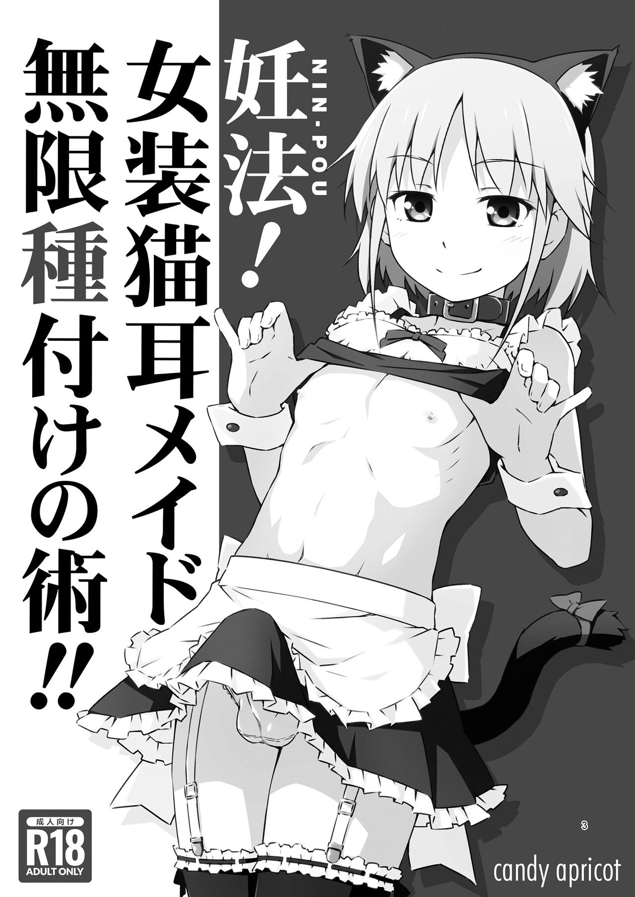 Ninpou! Josou Nekomimi Maid Mugen Tanetsuke no Jutsu!! page 2 full