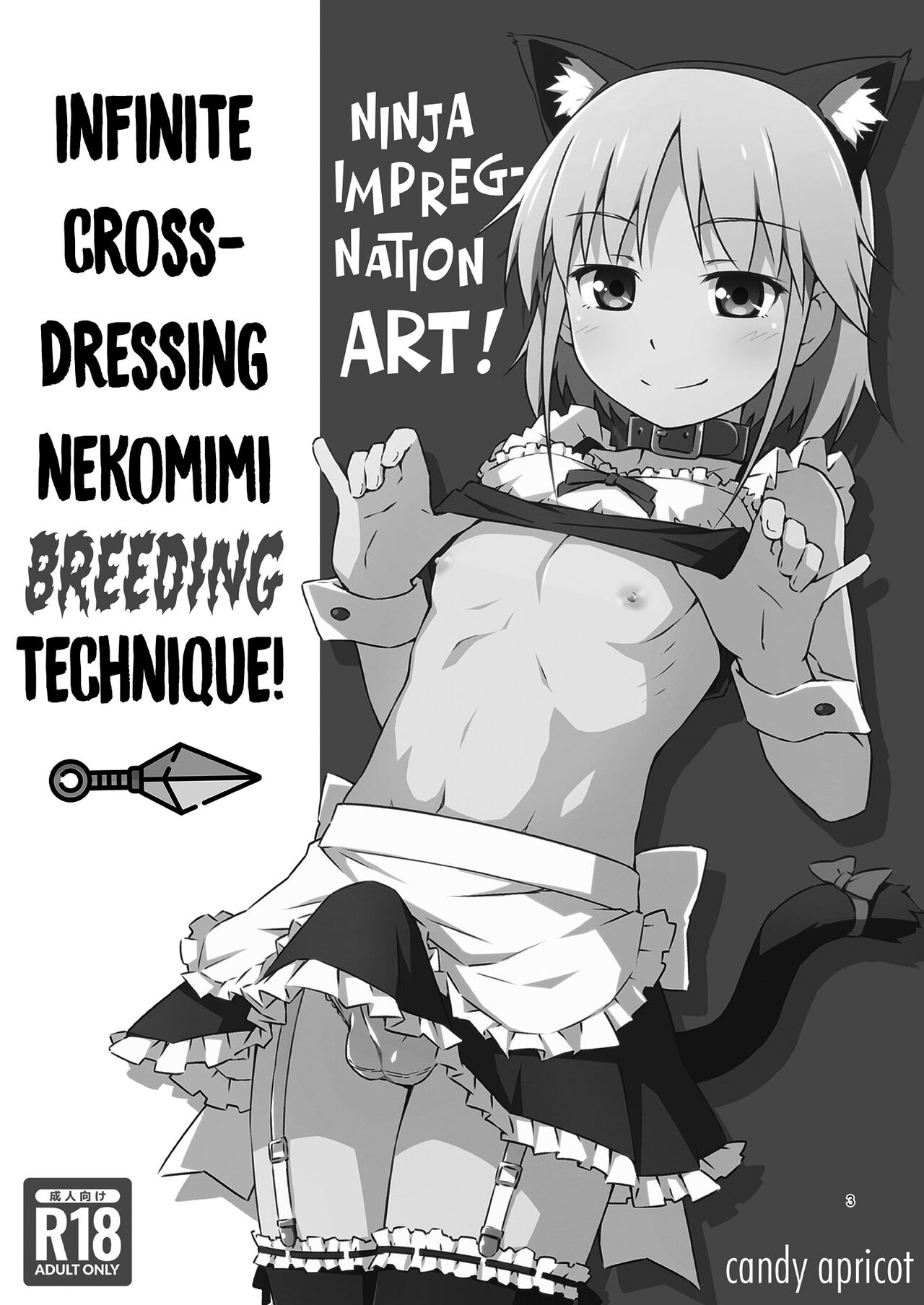 Ninpou! Josou Nekomimi Maid Mugen Tanetsuke no Jutsu!! | Ninja Impregnation Art: Infinite Crossdressing Nekomimi Breeding Technique! page 2 full