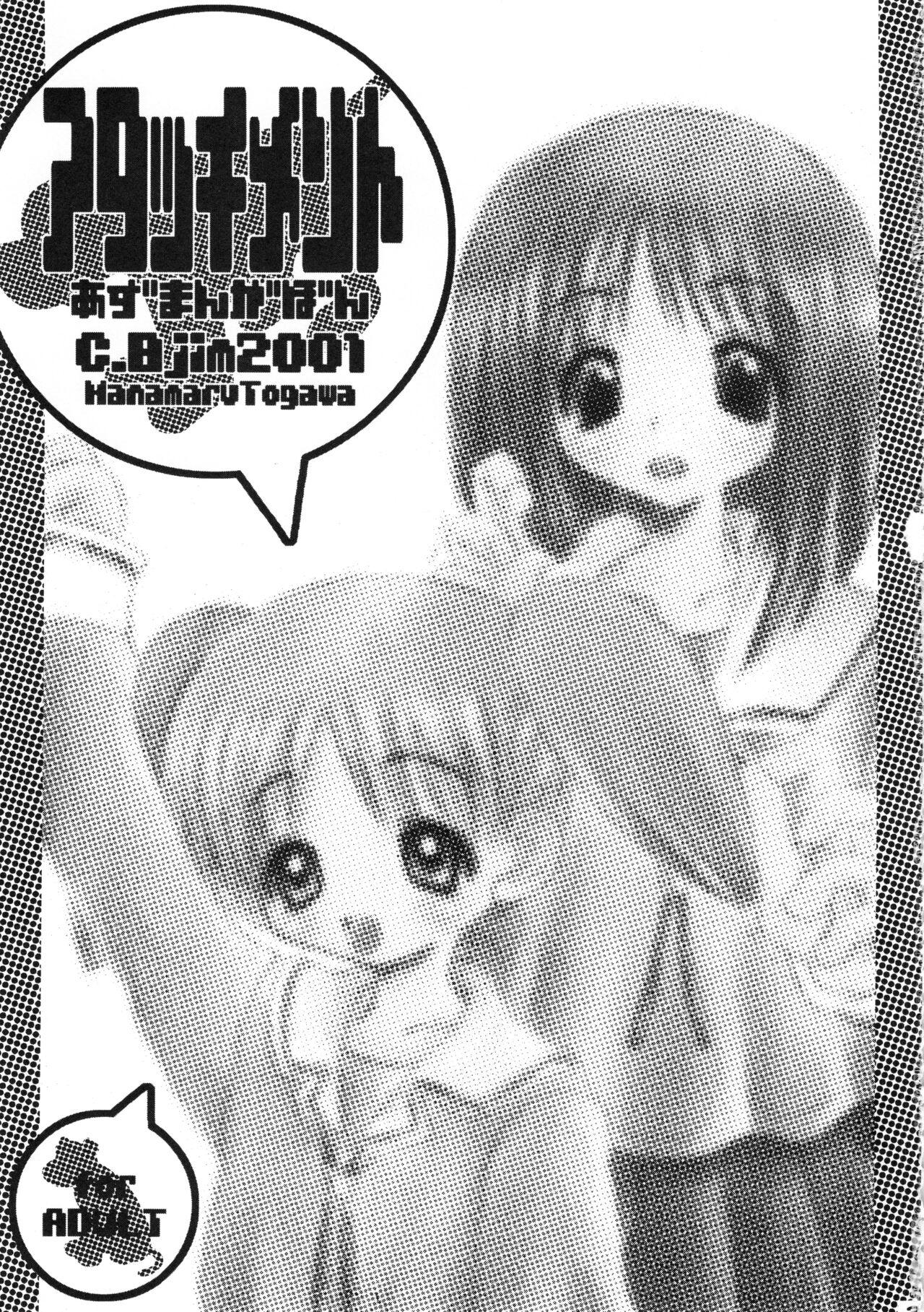 Attachment page 2 full