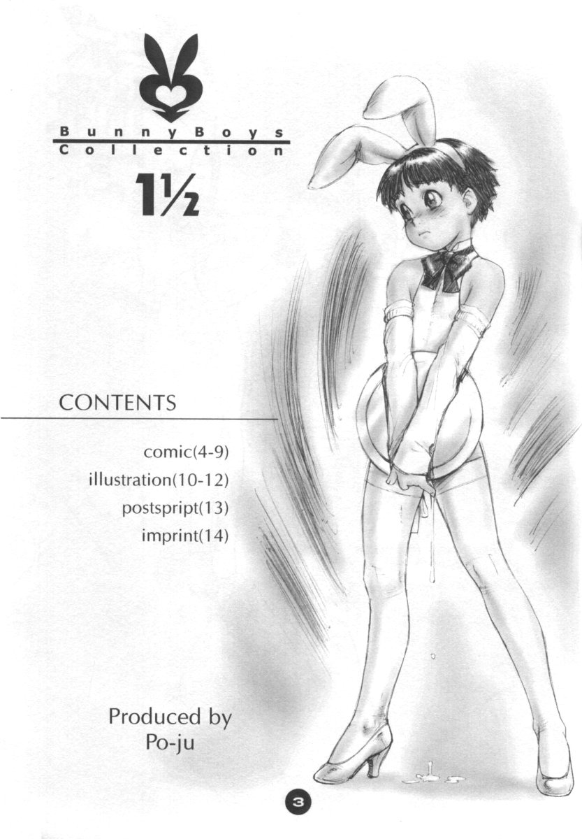 Bunny Boys Collection 1 1/2 page 2 full